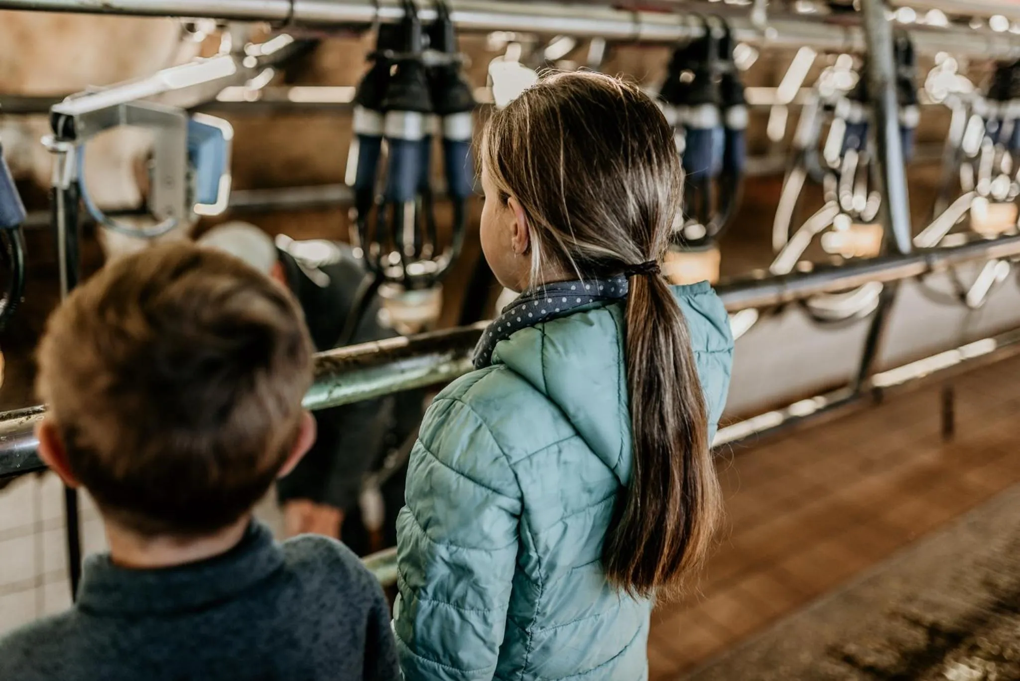 Activities in Oakhurst Farm Cottages