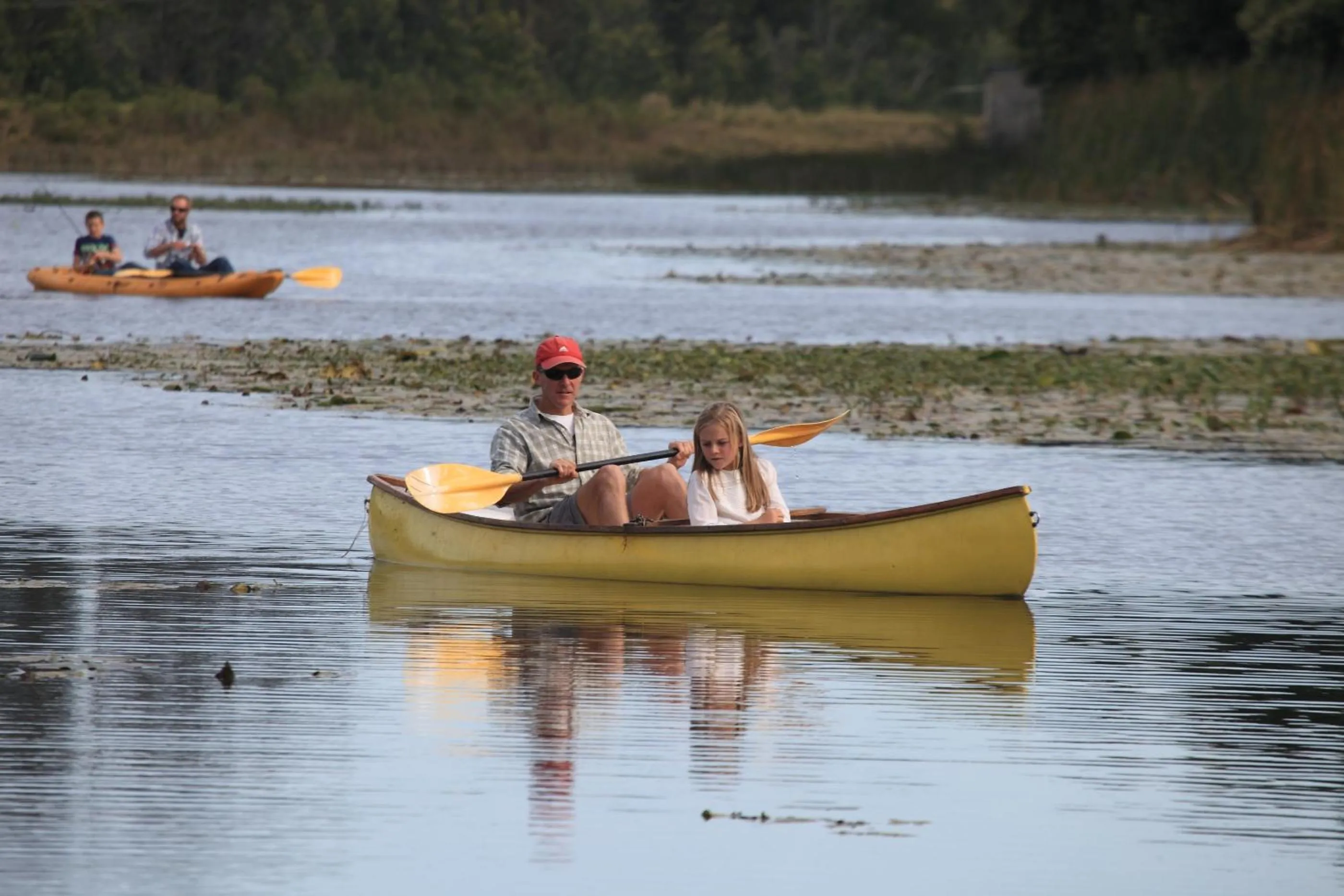 Natural landscape in Oakhurst Farm Cottages