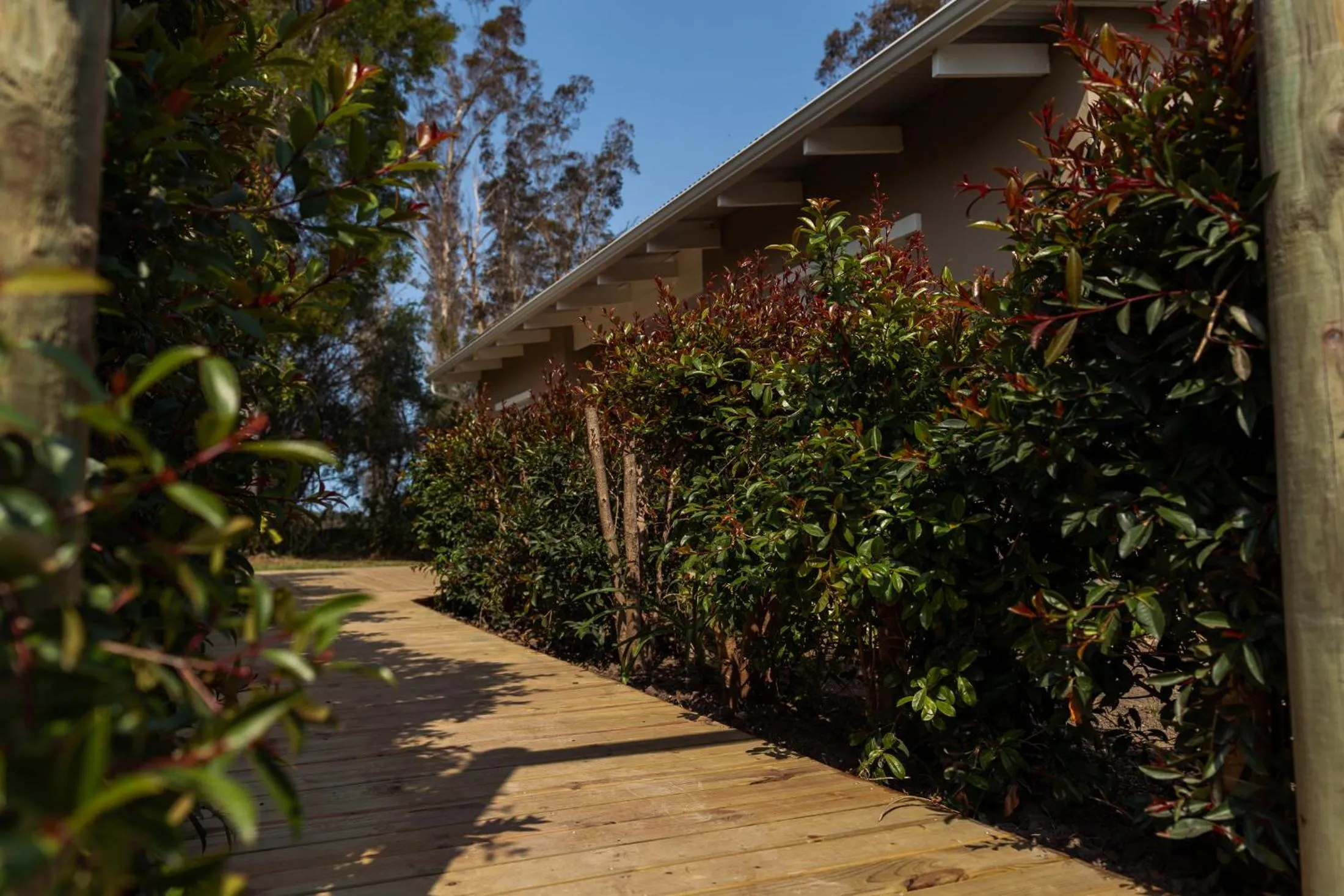 Garden in Oakhurst Farm Cottages