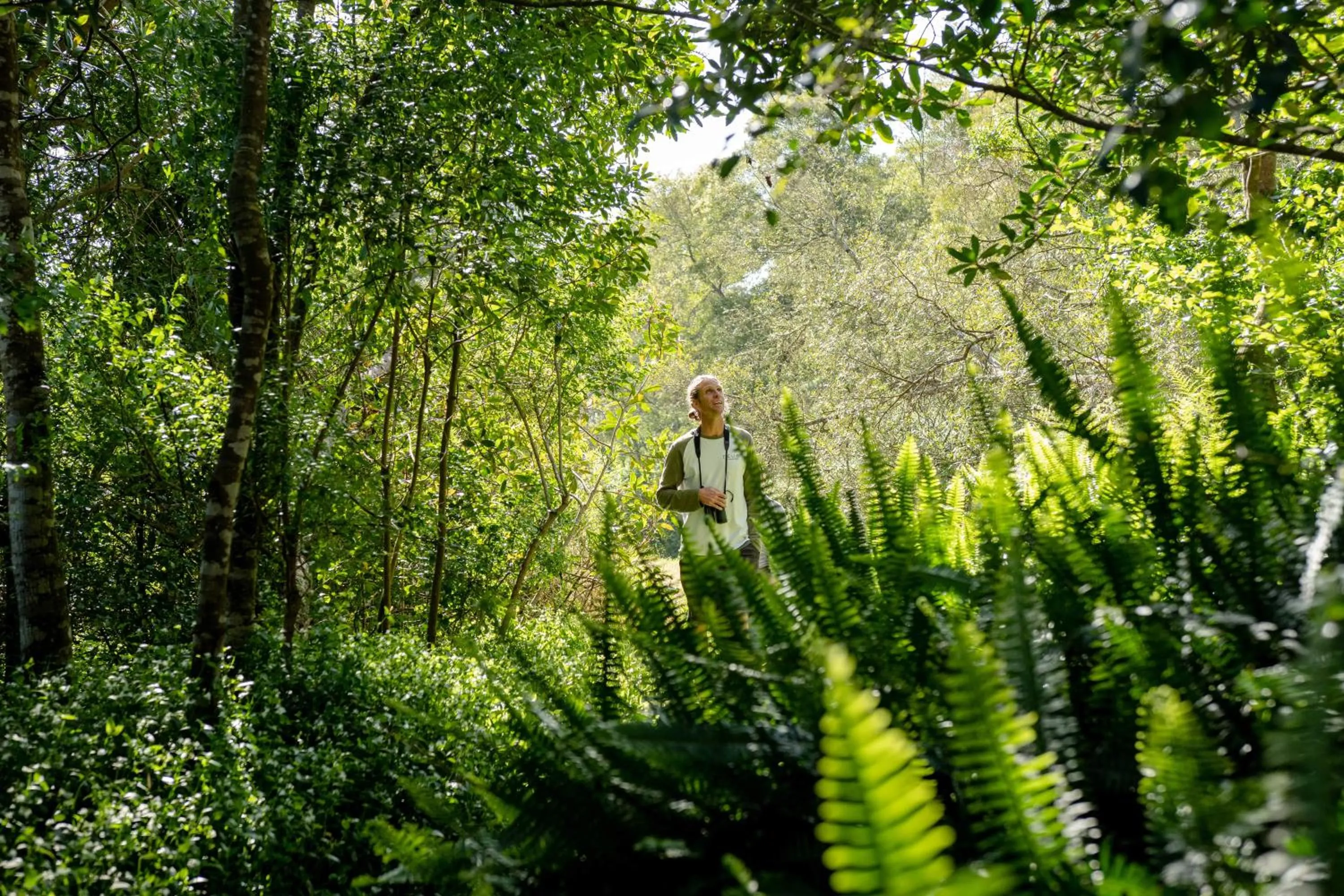 Natural landscape in Oakhurst Farm Cottages
