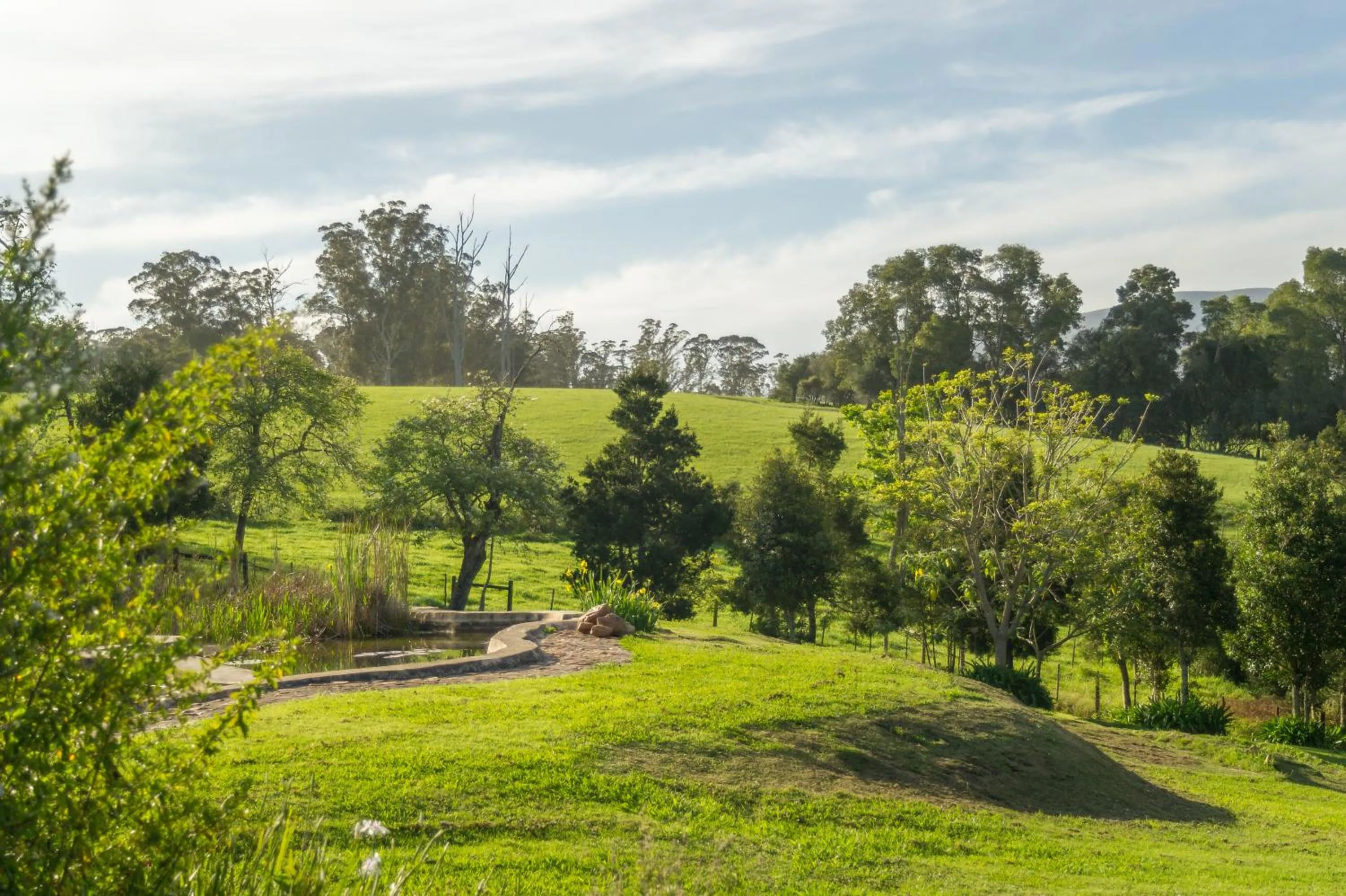 Natural landscape in Oakhurst Farm Cottages