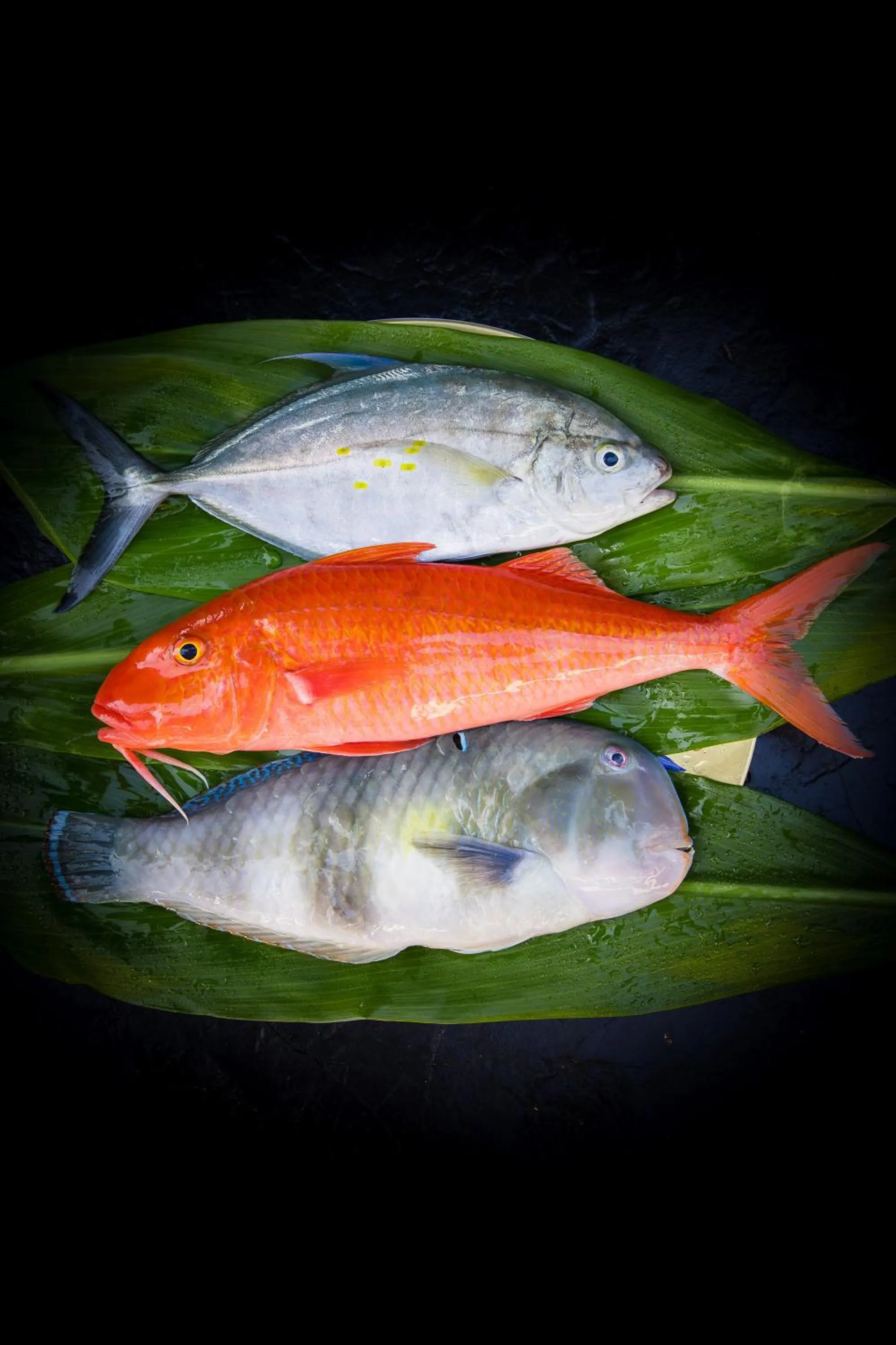 Restaurant/places to eat in Hotel Wailea, Relais & Châteaux - Adults Only