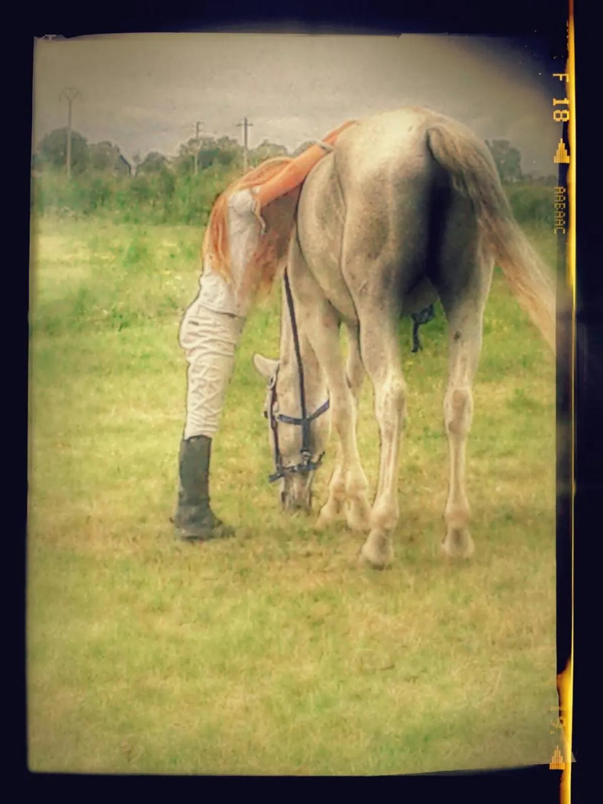 Animals in La Scuderia