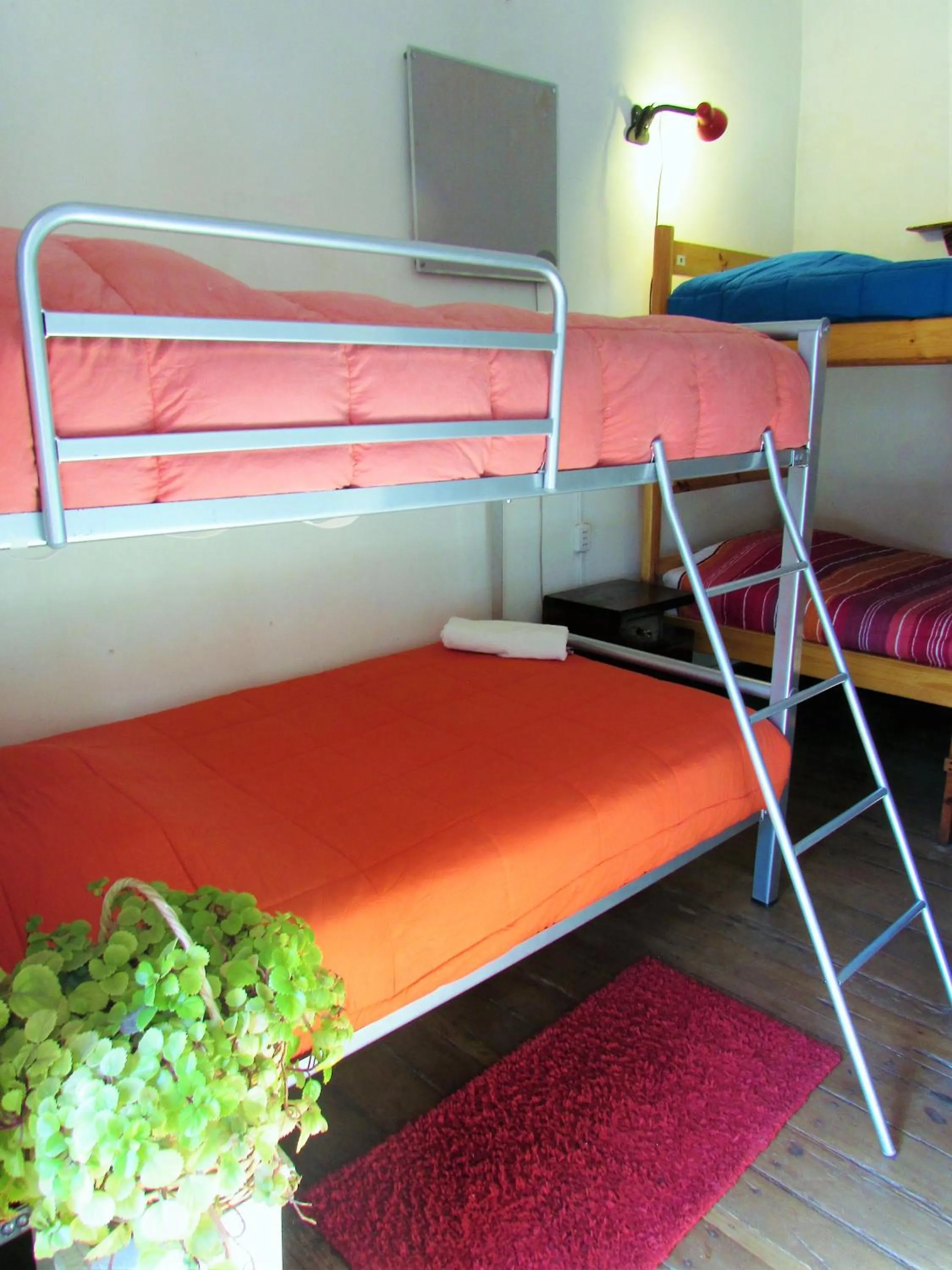 bunk bed, Bed in Casa Volante Hostal