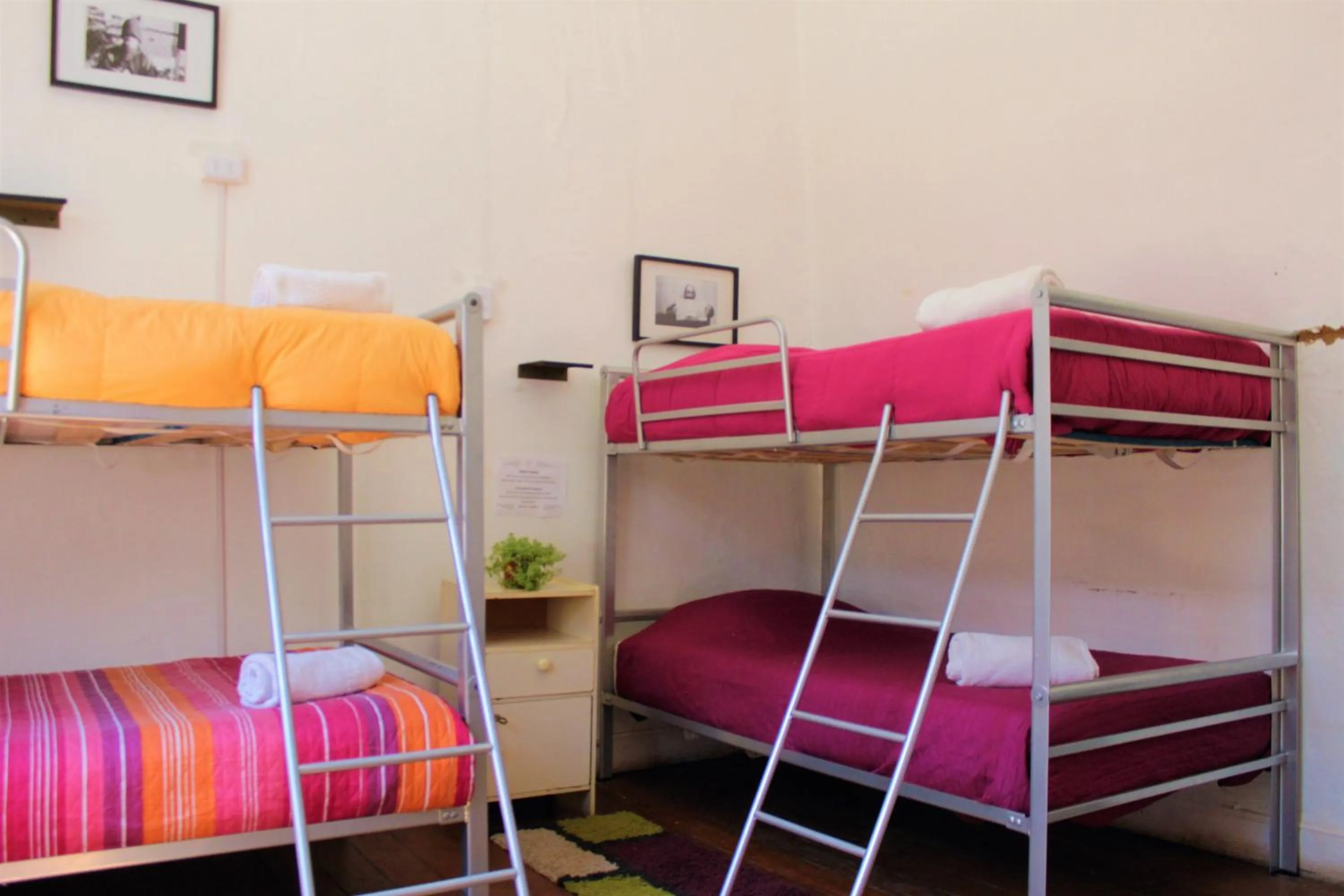 bunk bed, Bed in Casa Volante Hostal