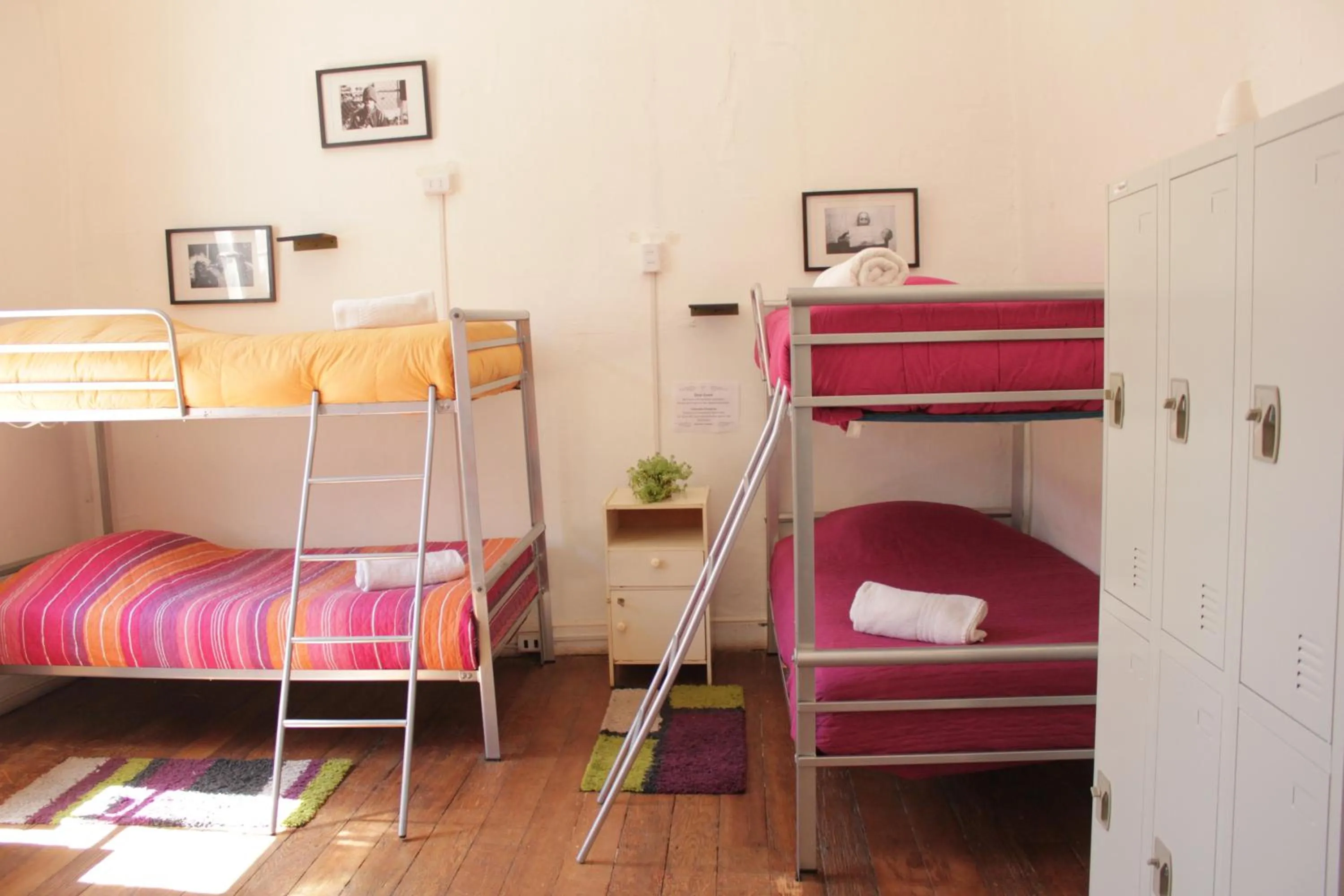 bunk bed, Bed in Casa Volante Hostal