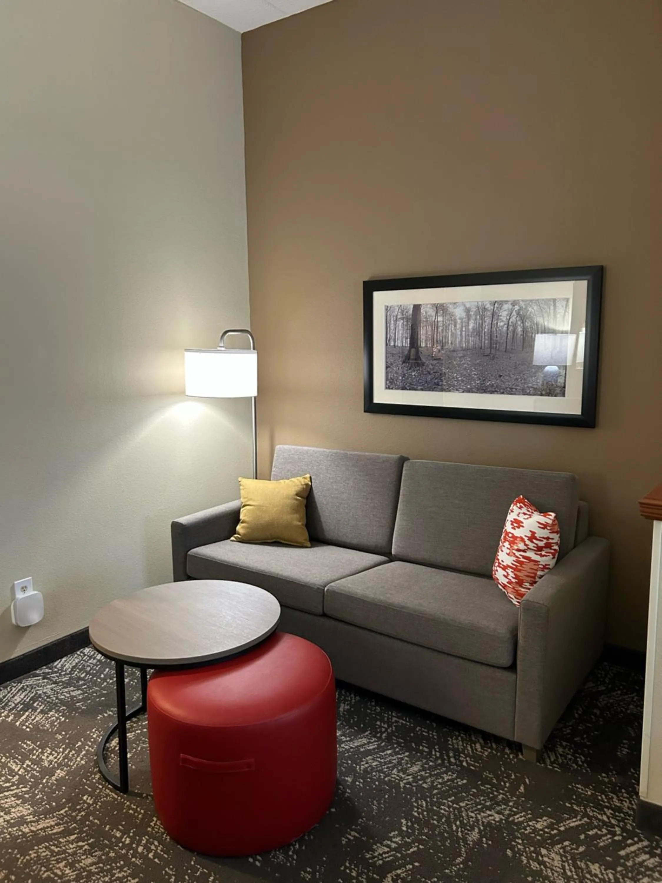 Seating area in Comfort Suites Columbia at Harbison