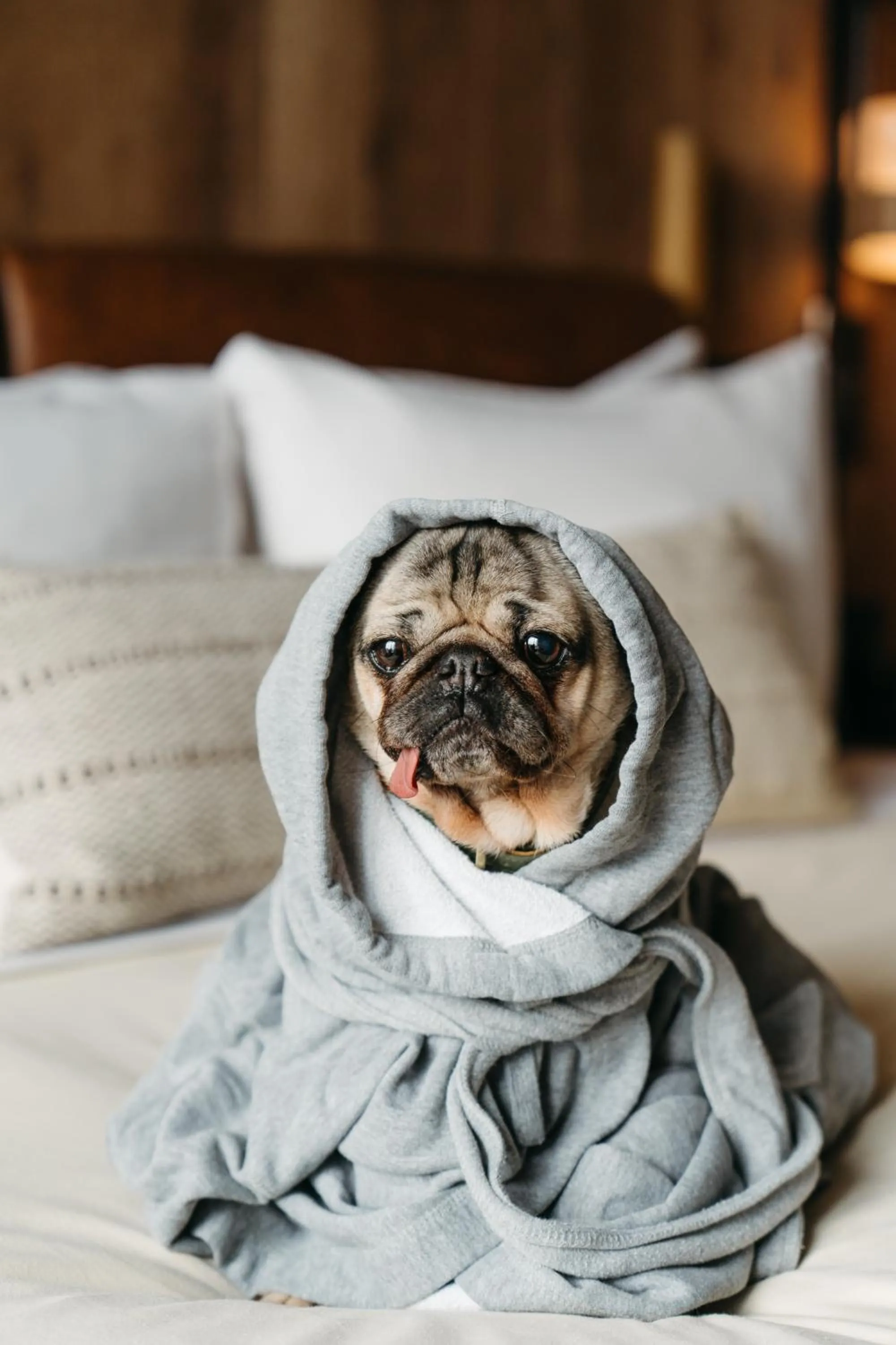 pet friendly, Bed in 1 Hotel Mayfair