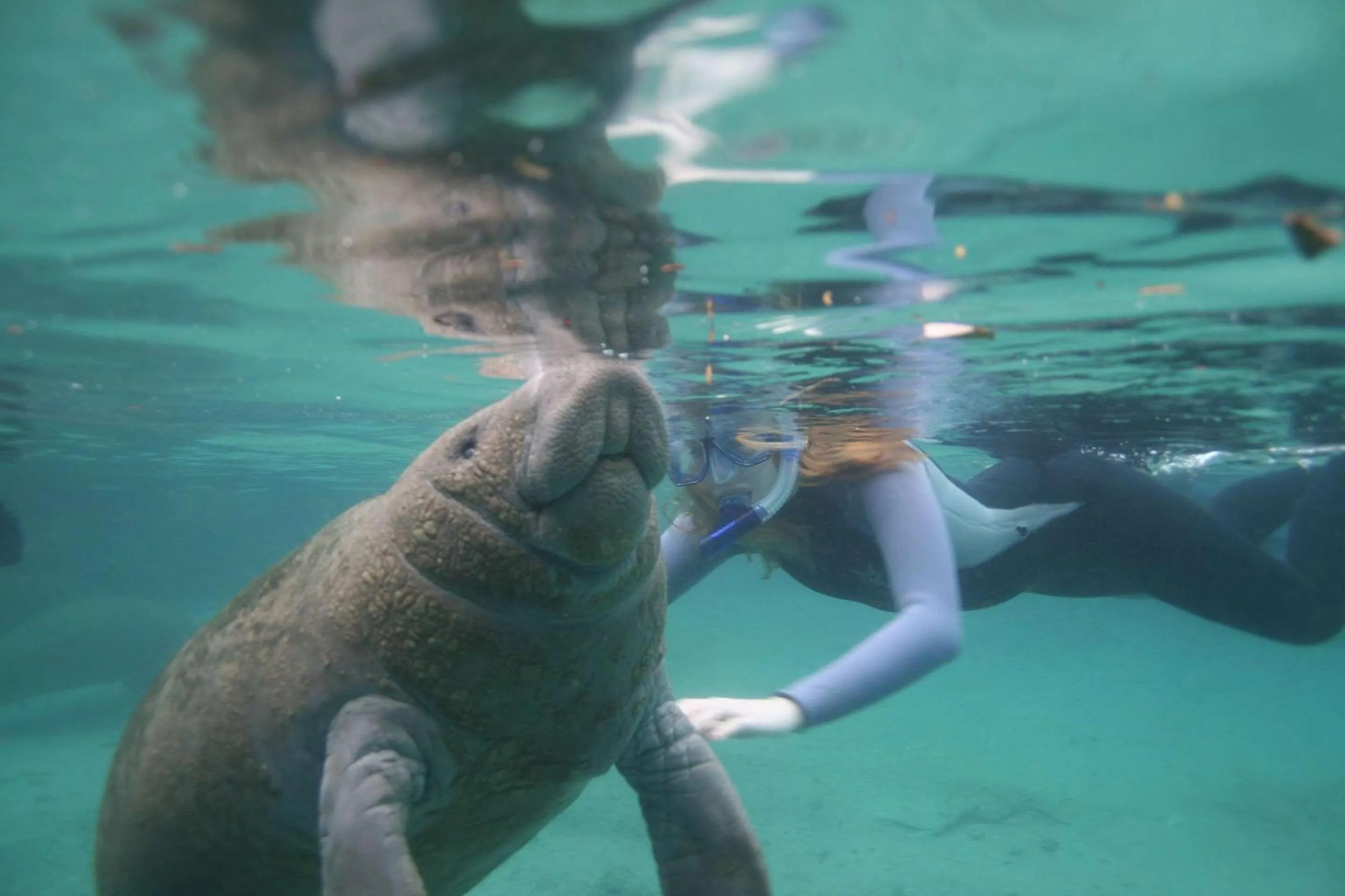 Property building in Plantation Resort on Crystal River, Ascend Hotel Collection