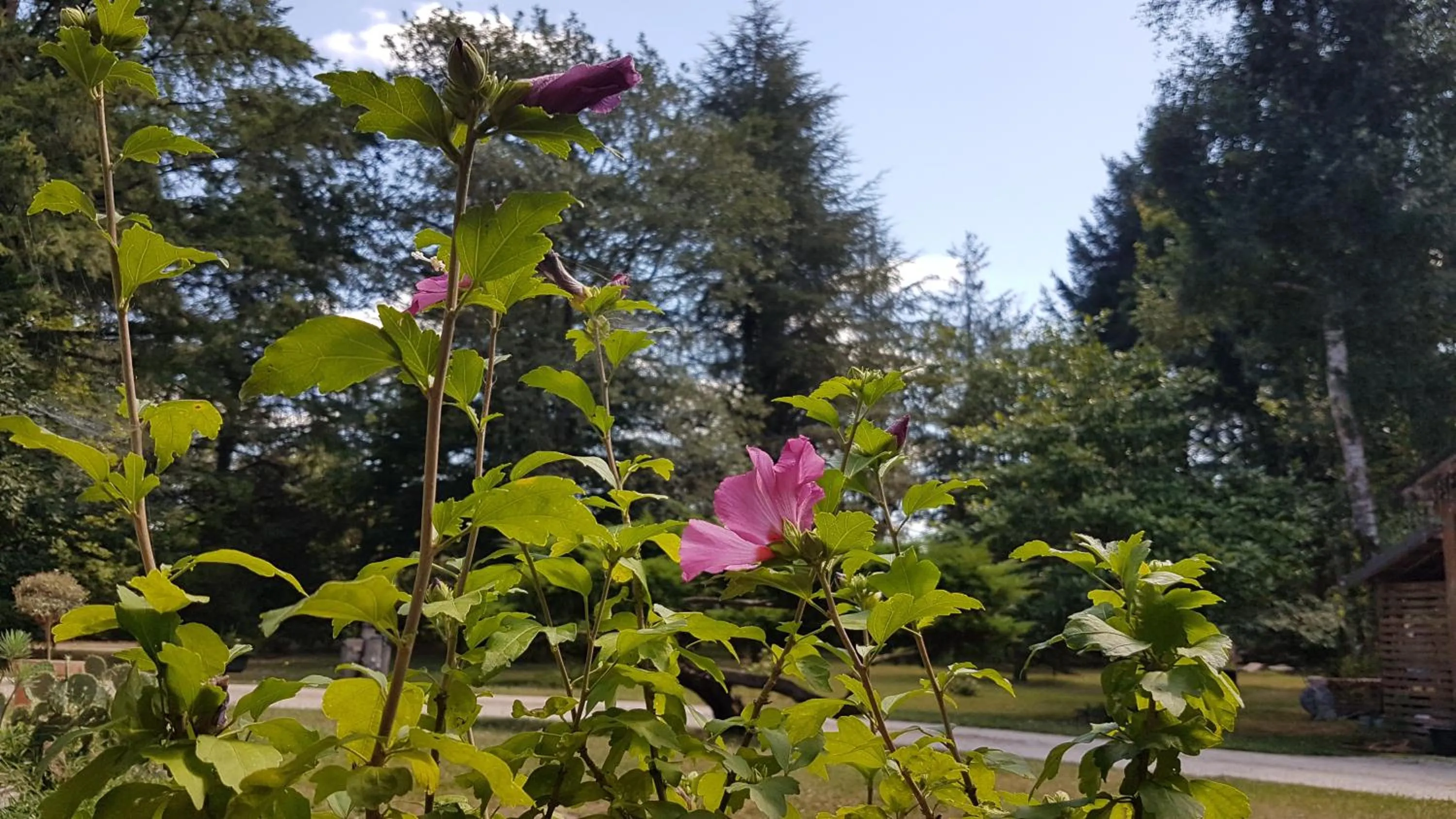 Le Clos des Écureuils