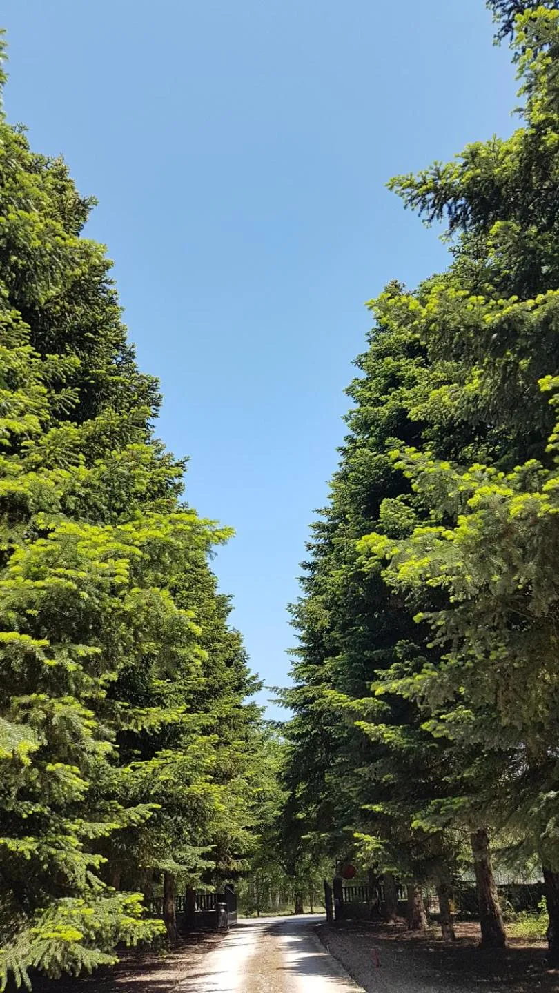 Natural landscape in Le Clos des Écureuils