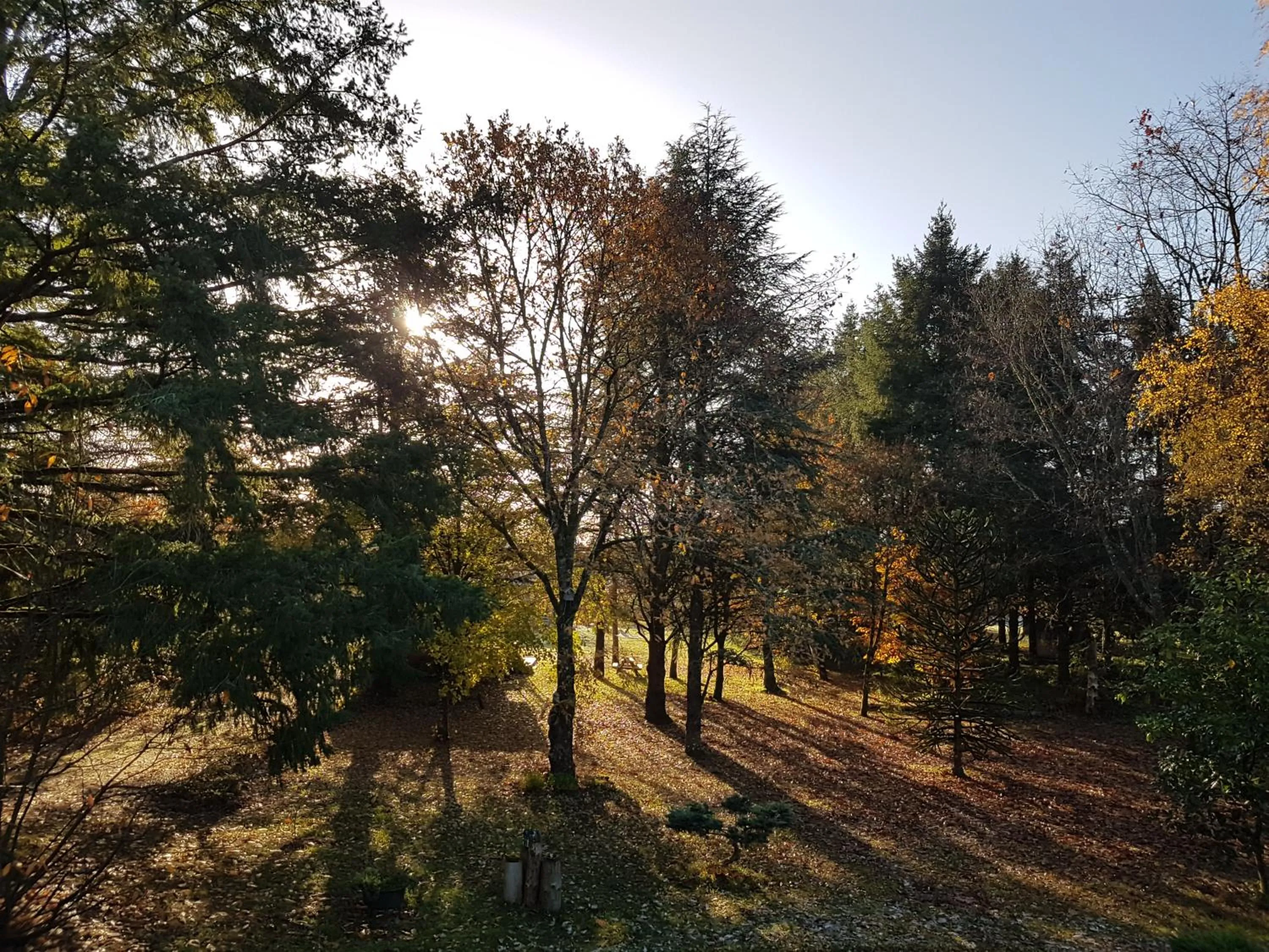 Le Clos des Écureuils