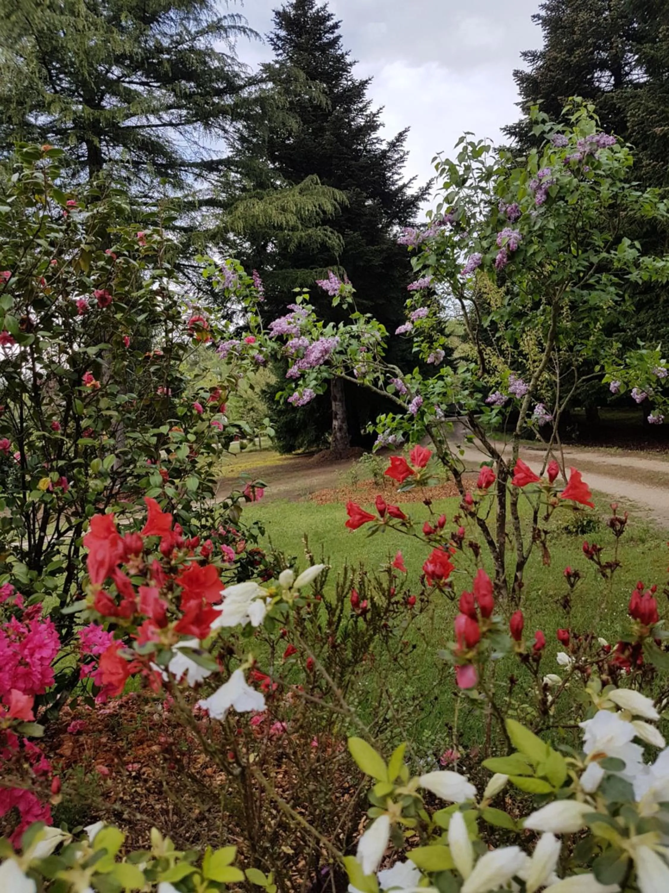 View (from property/room) in Le Clos des Écureuils