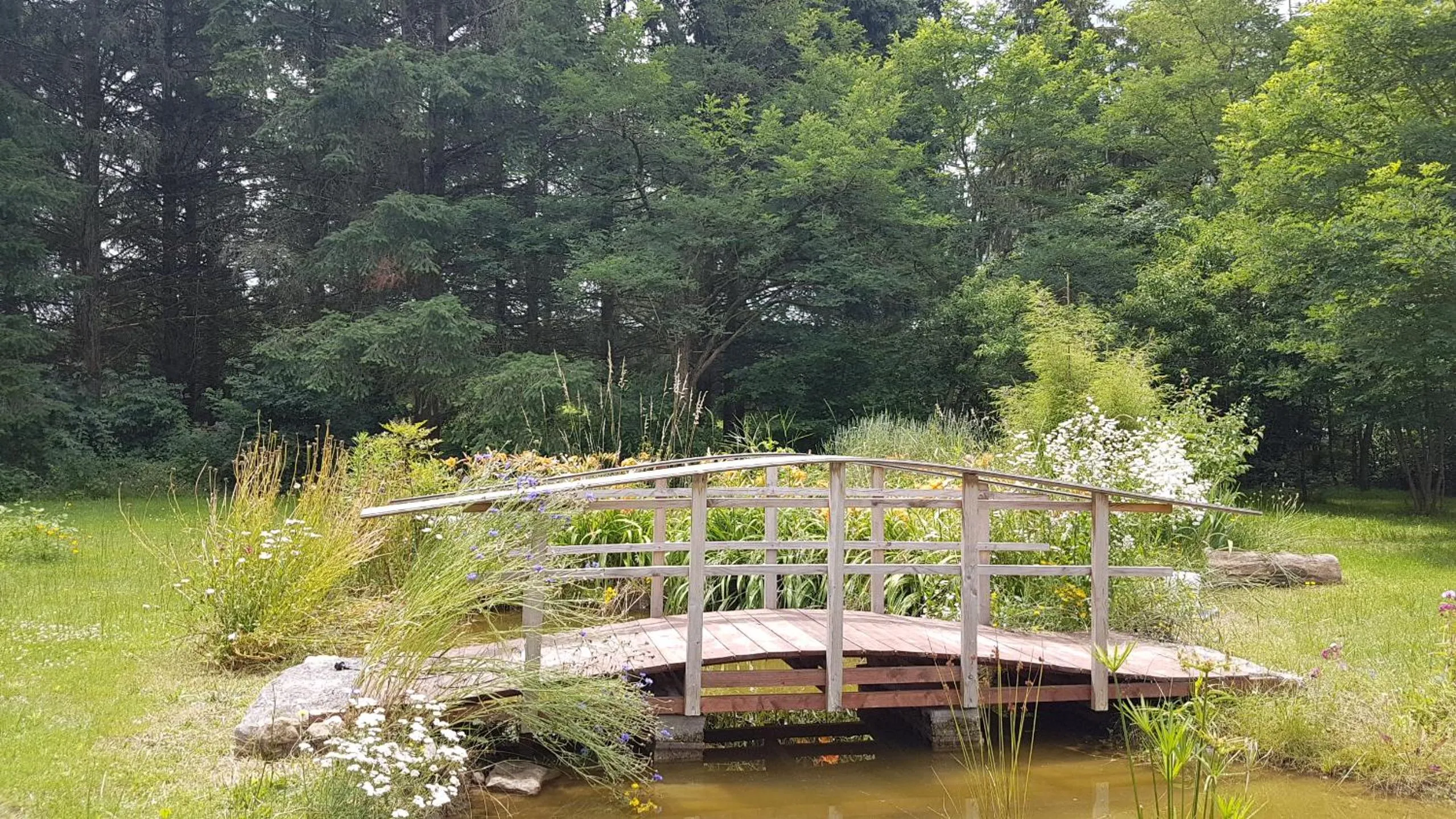 Natural landscape in Le Clos des Écureuils