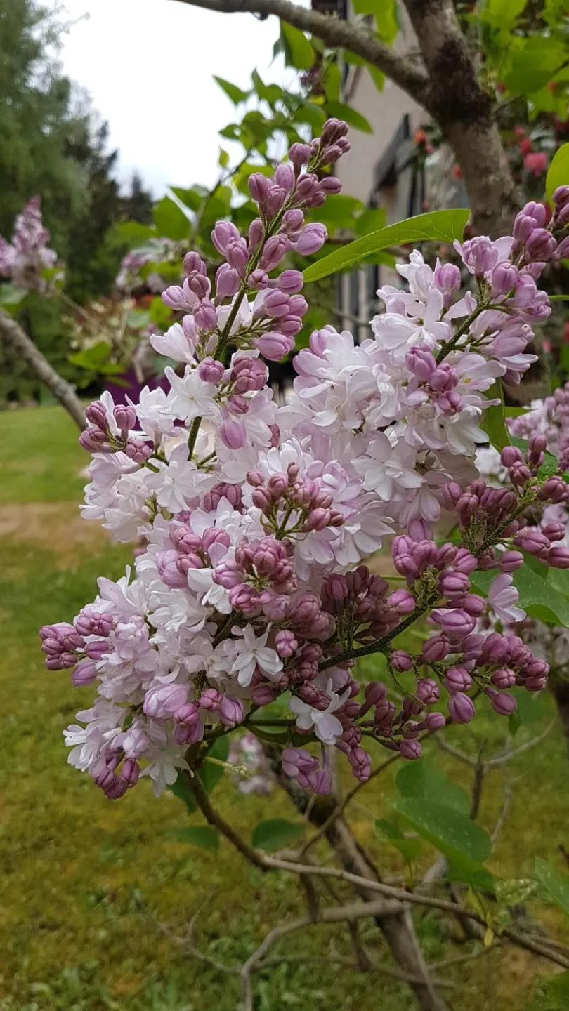Natural landscape in Le Clos des Écureuils
