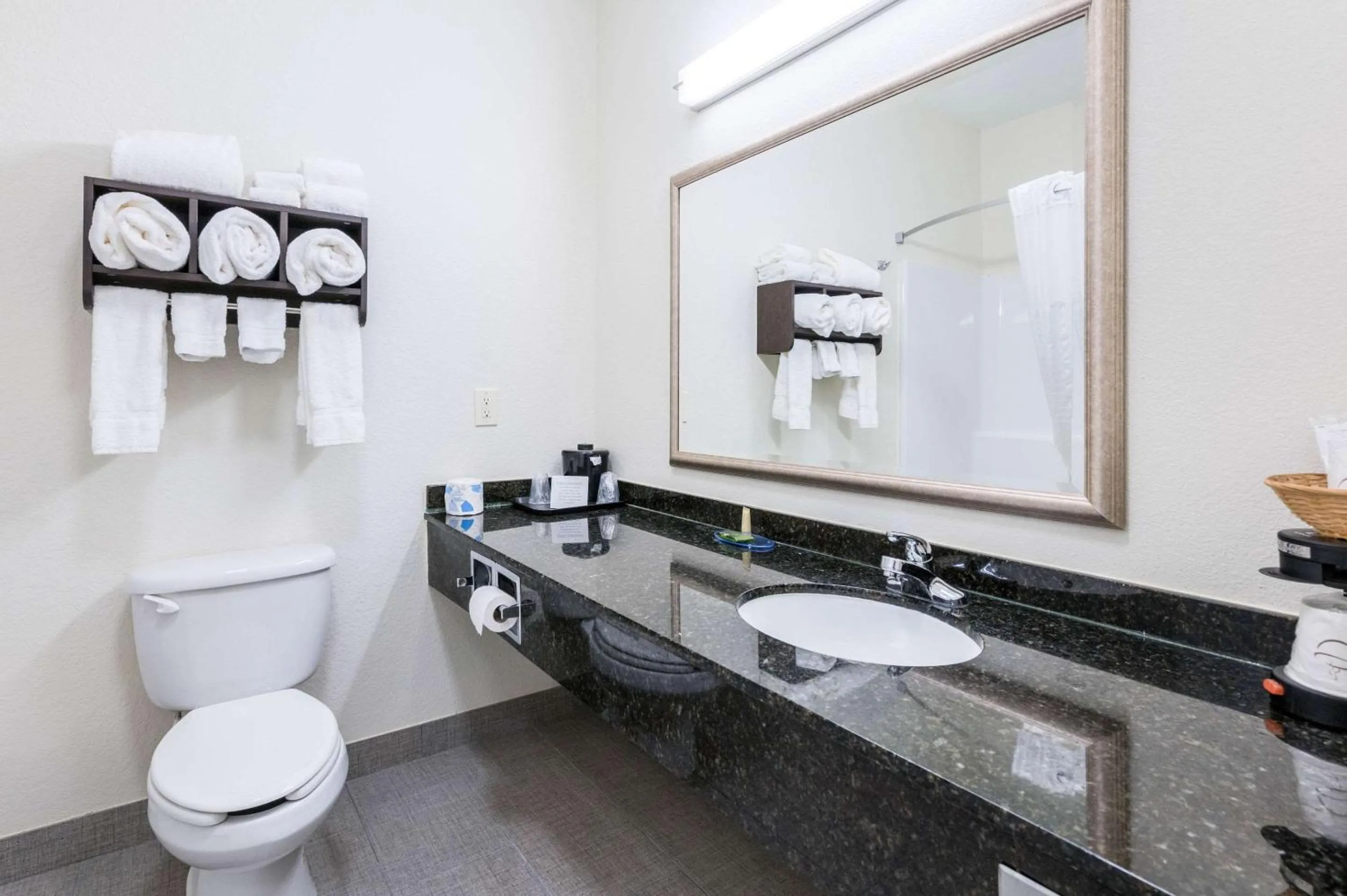 Bathroom in Clarion Pointe Madison-Huntsville