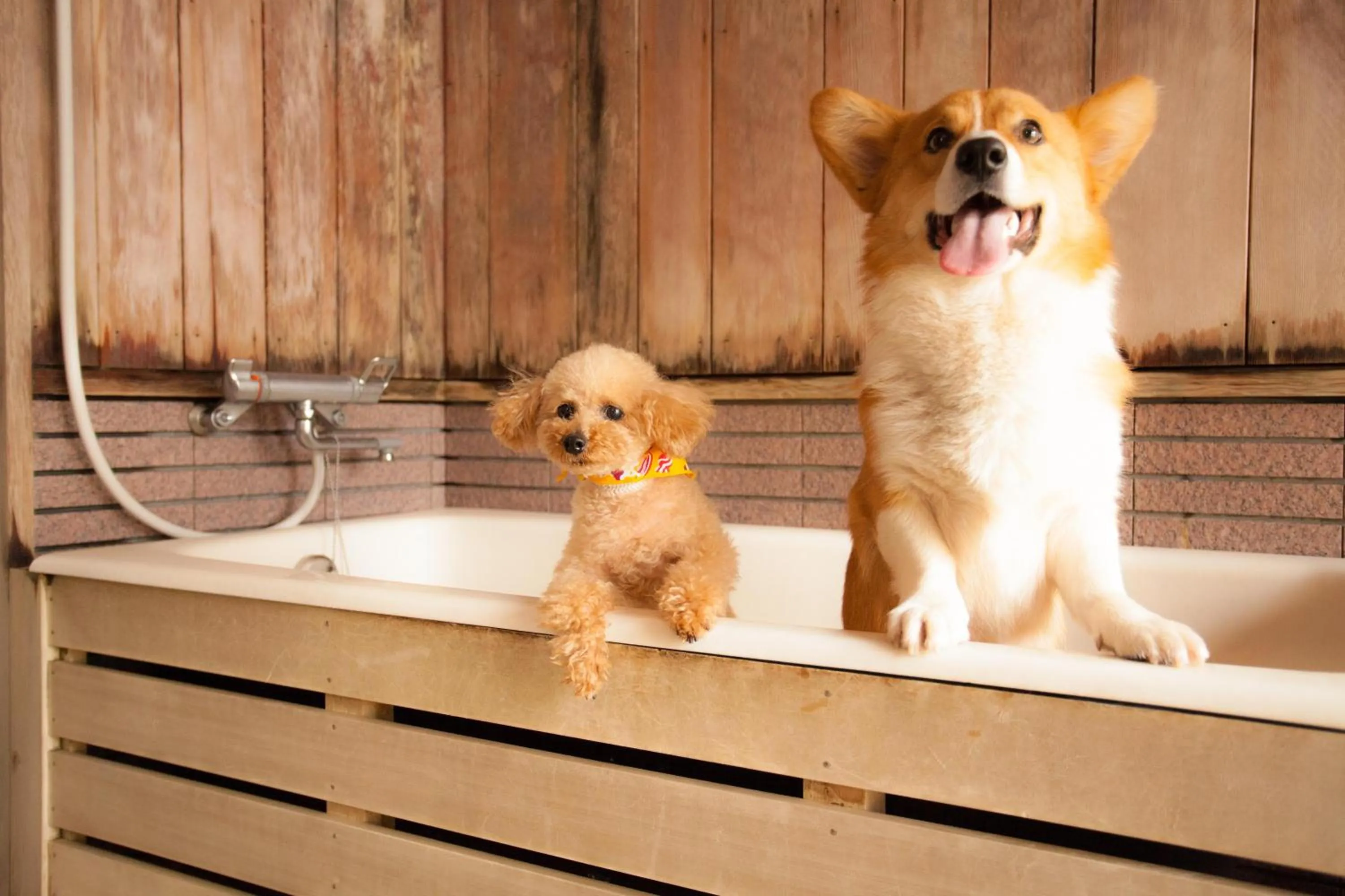 Takayama Wan Wan Paradise Hotel & Cottage