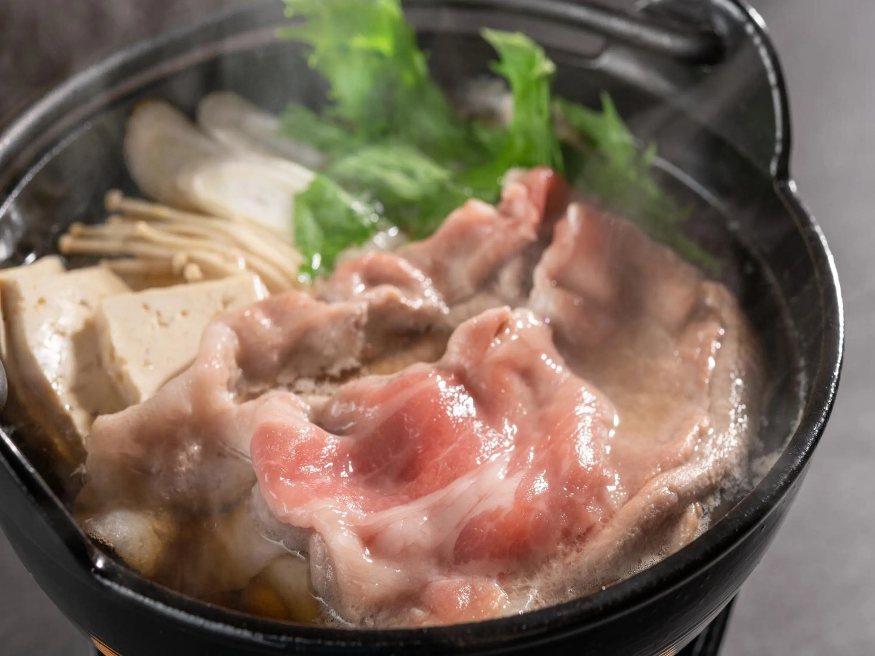 Dinner in Takayama Wan Wan Paradise Hotel & Cottage