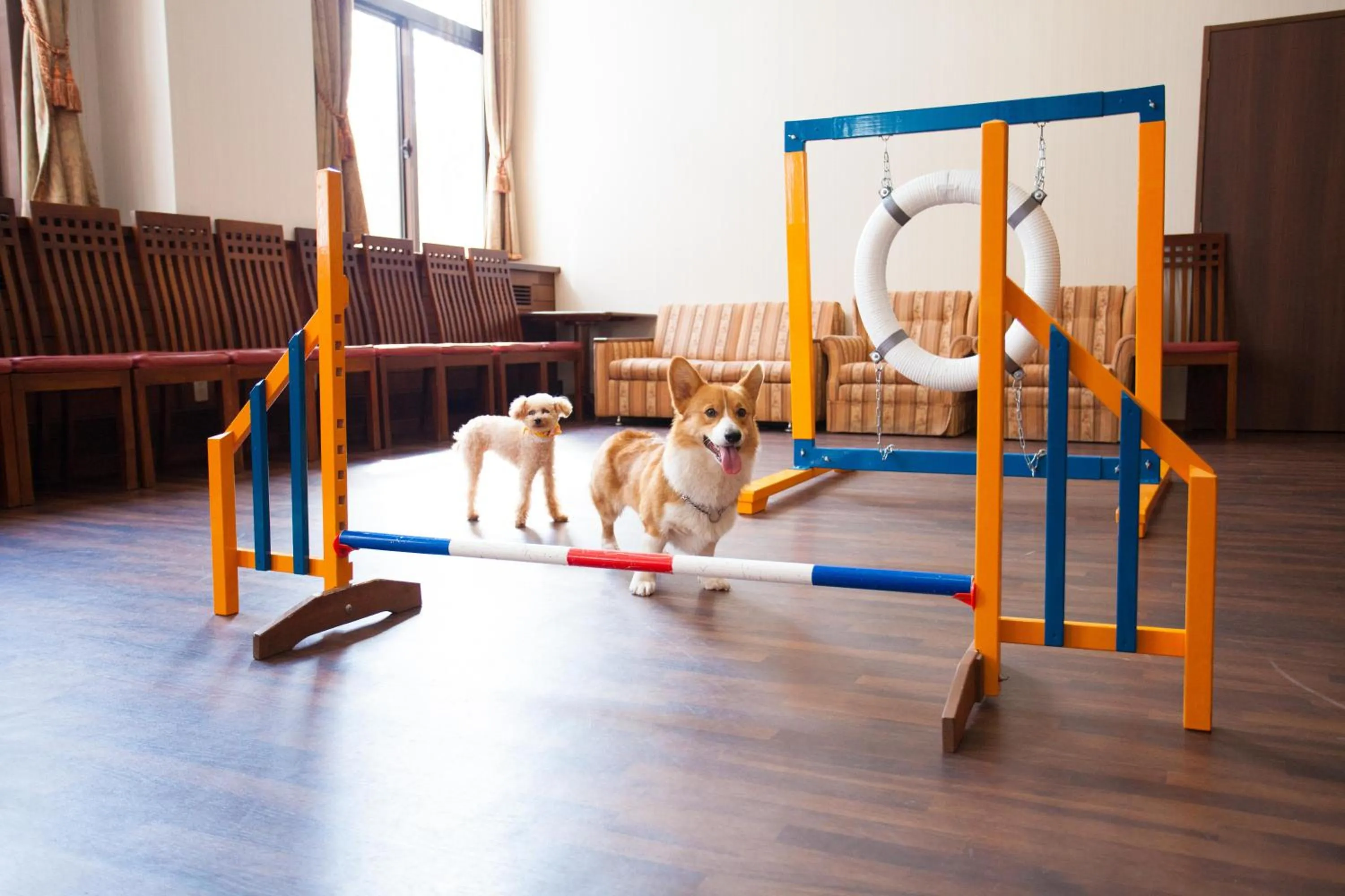 Animals in Takayama Wan Wan Paradise Hotel & Cottage