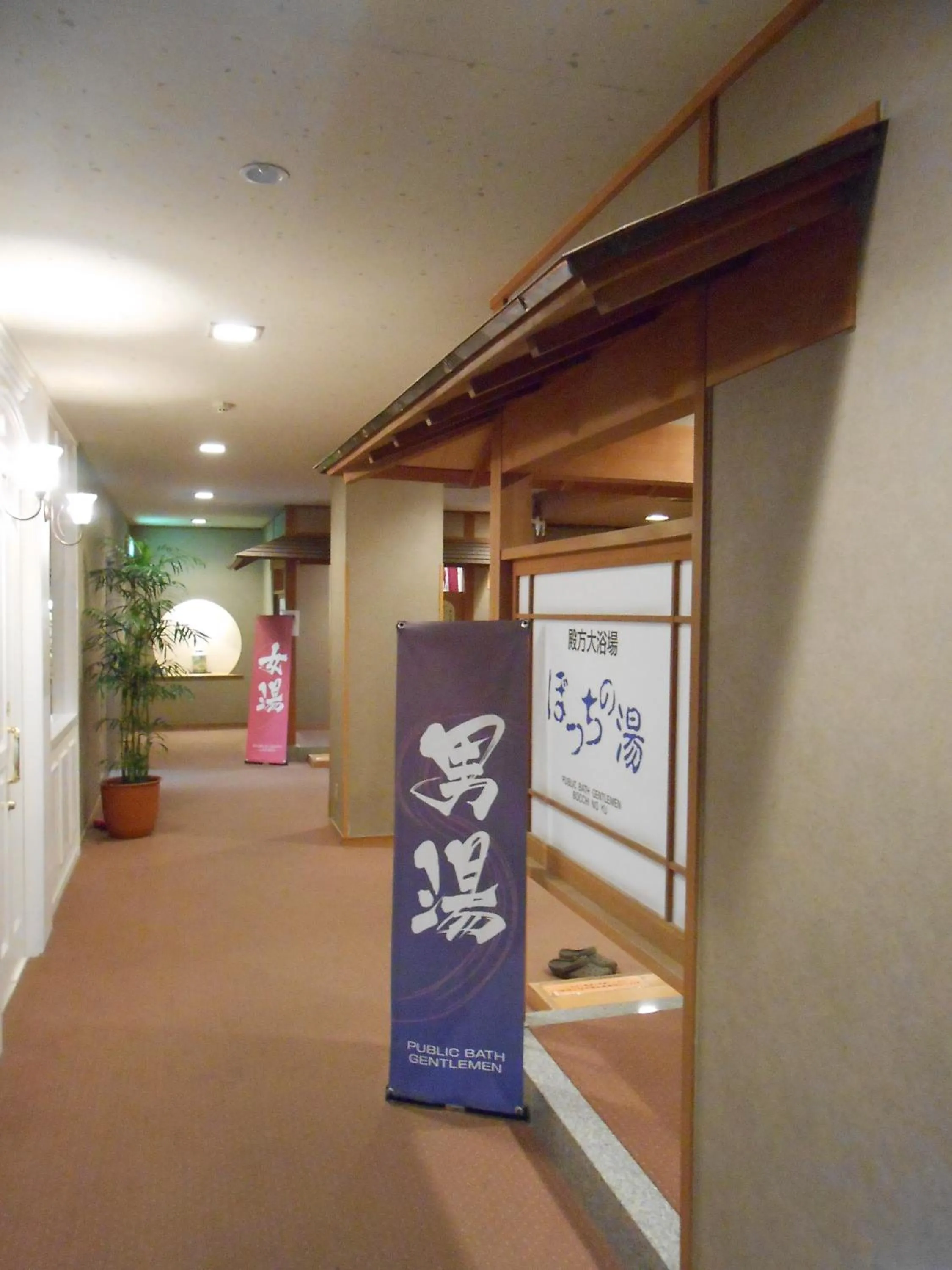 View (from property/room) in Hamanako Wan Wan Paradise Hotel