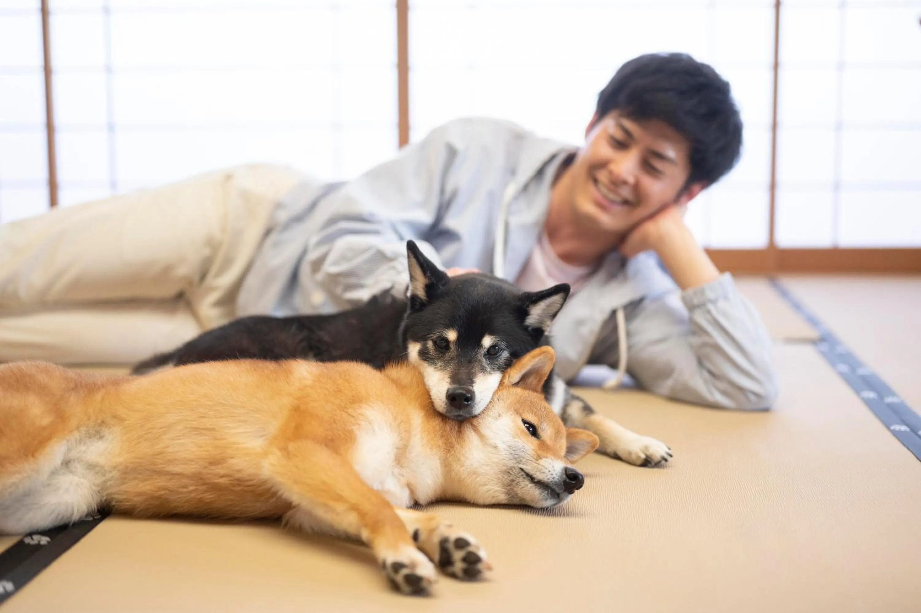 pet friendly in Hamanako Wan Wan Paradise Hotel