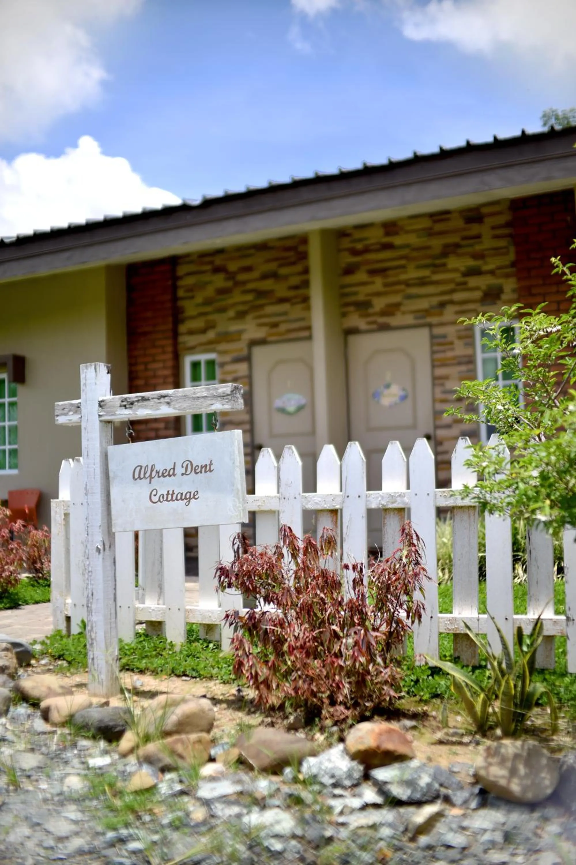 Garden in Sabah Tea Resort