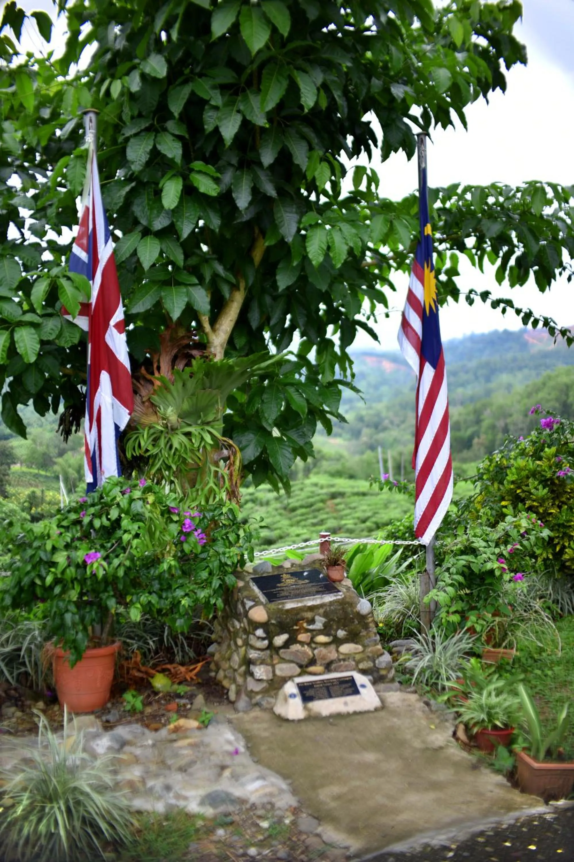Garden in Sabah Tea Resort