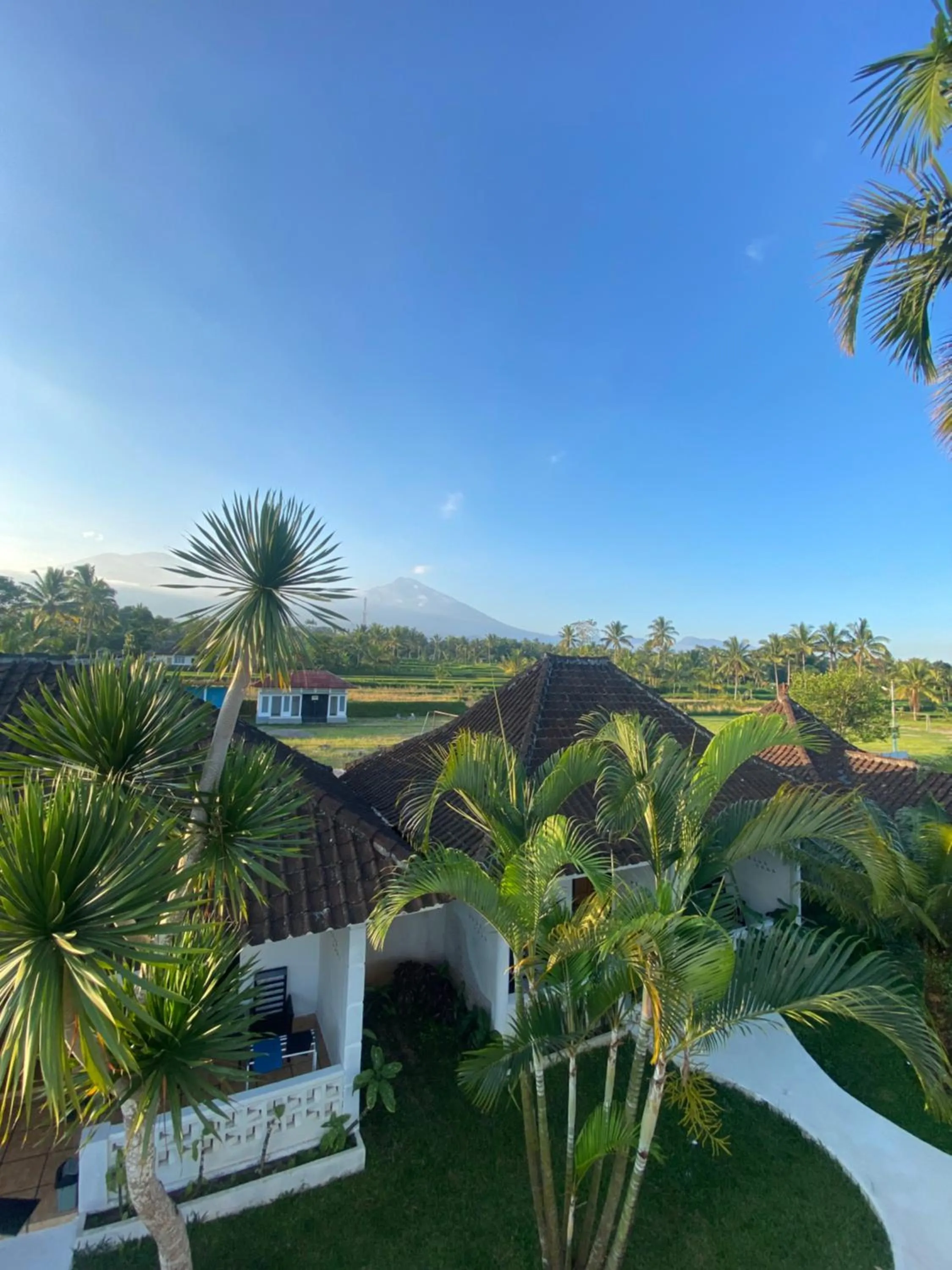 Garden view in Pondok Tetebatu Cottages and Cafe