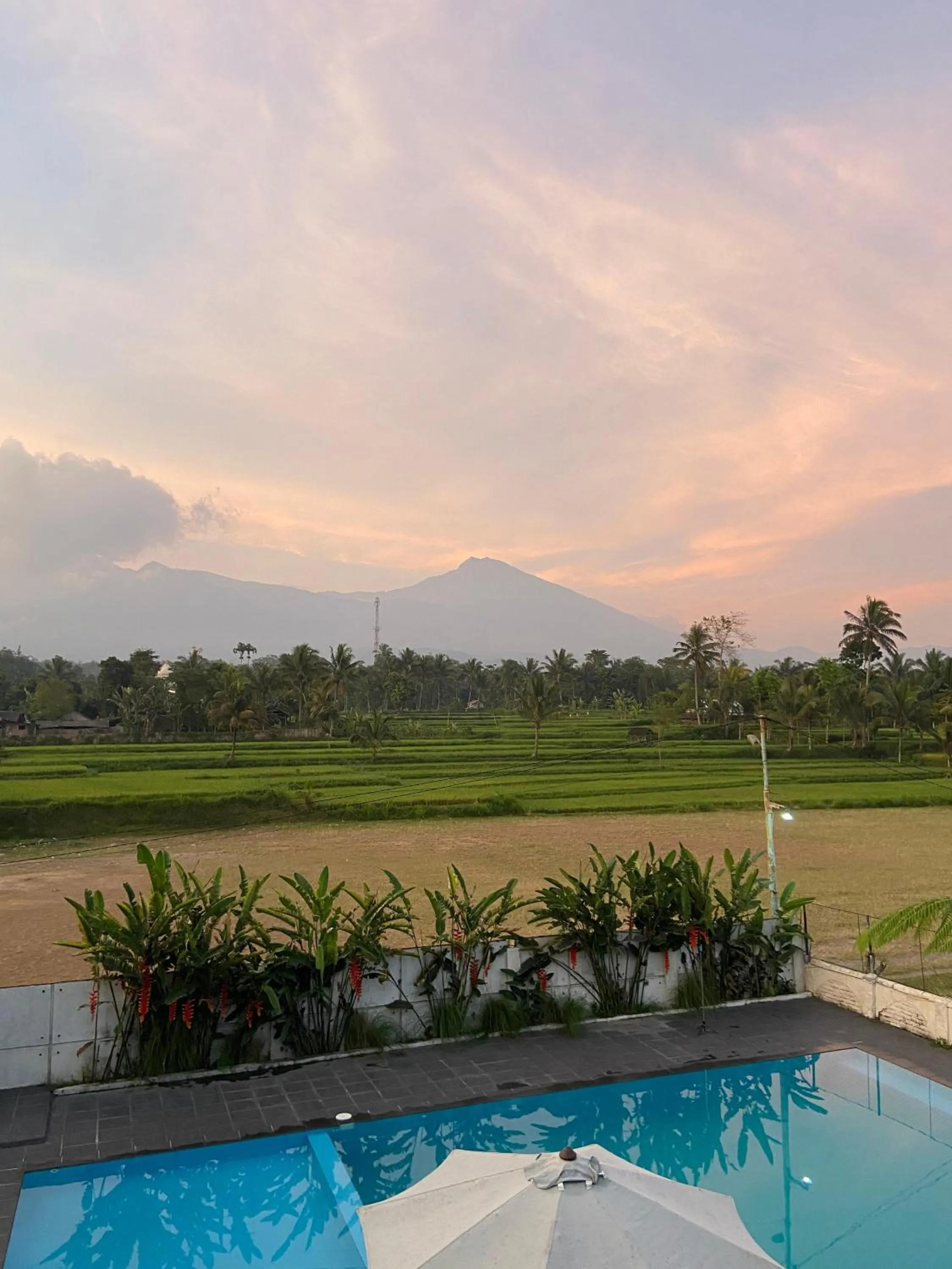 Day in Pondok Tetebatu Cottages and Cafe