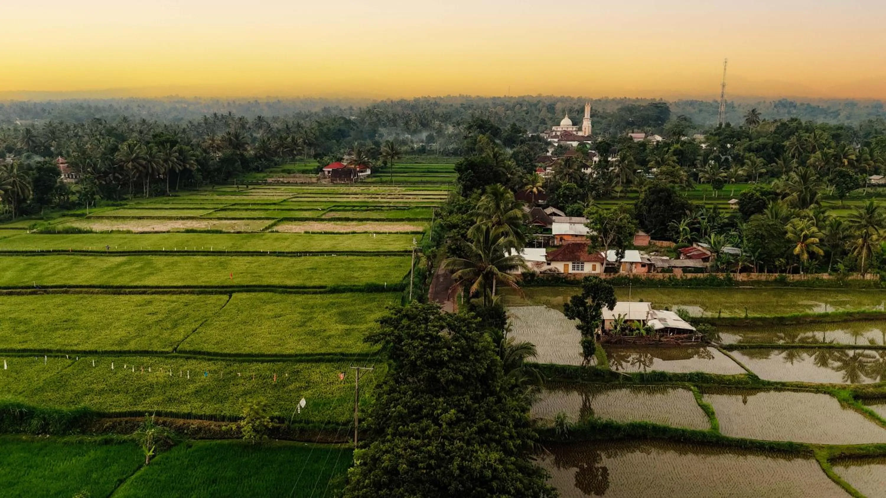 Spring in Pondok Tetebatu Cottages and Cafe