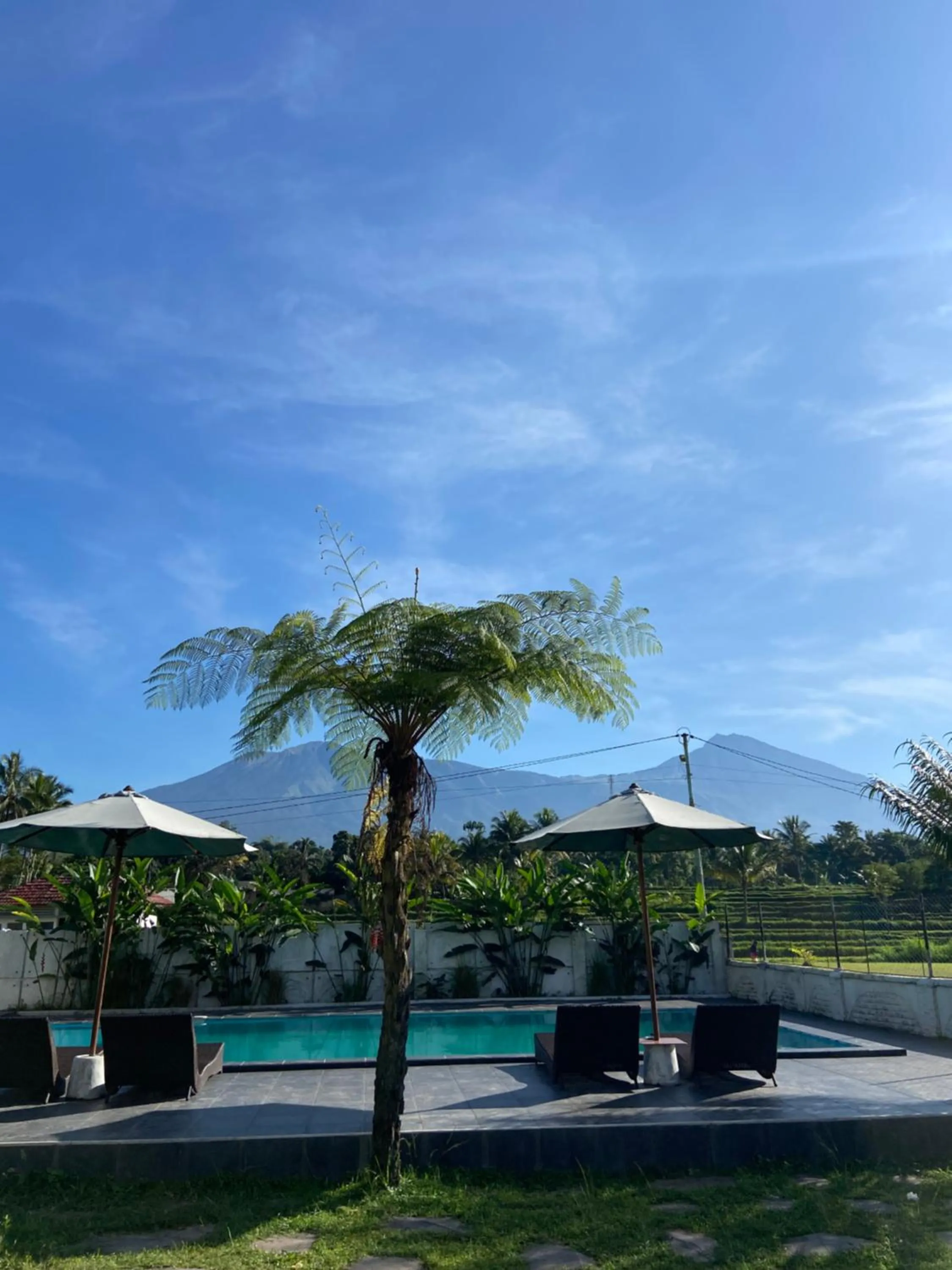 Spring in Pondok Tetebatu Cottages and Cafe