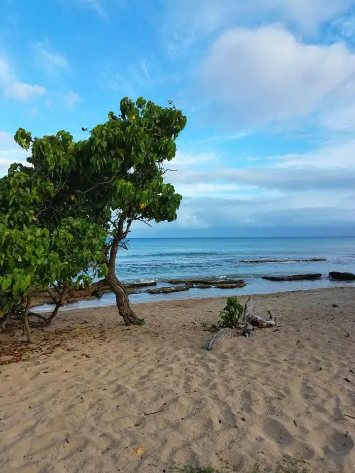 Lahaina Wonderful Condos