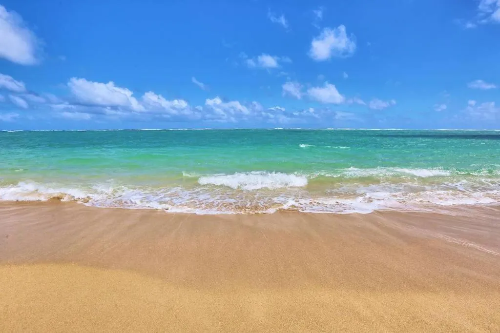 Lahaina Wonderful Condos