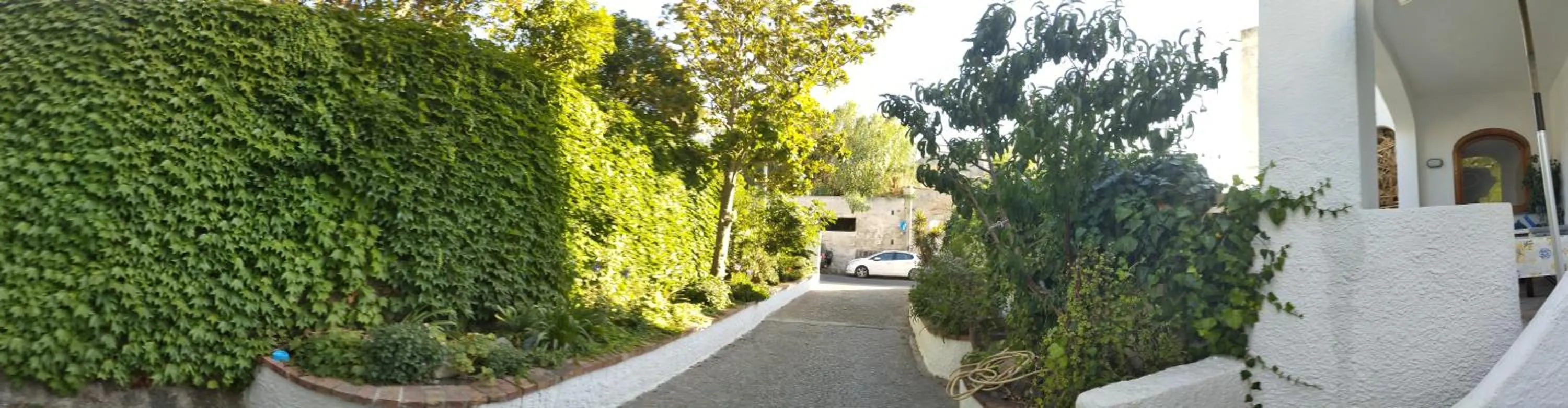 Garden view in Villa Thomas BB conduzione familiare