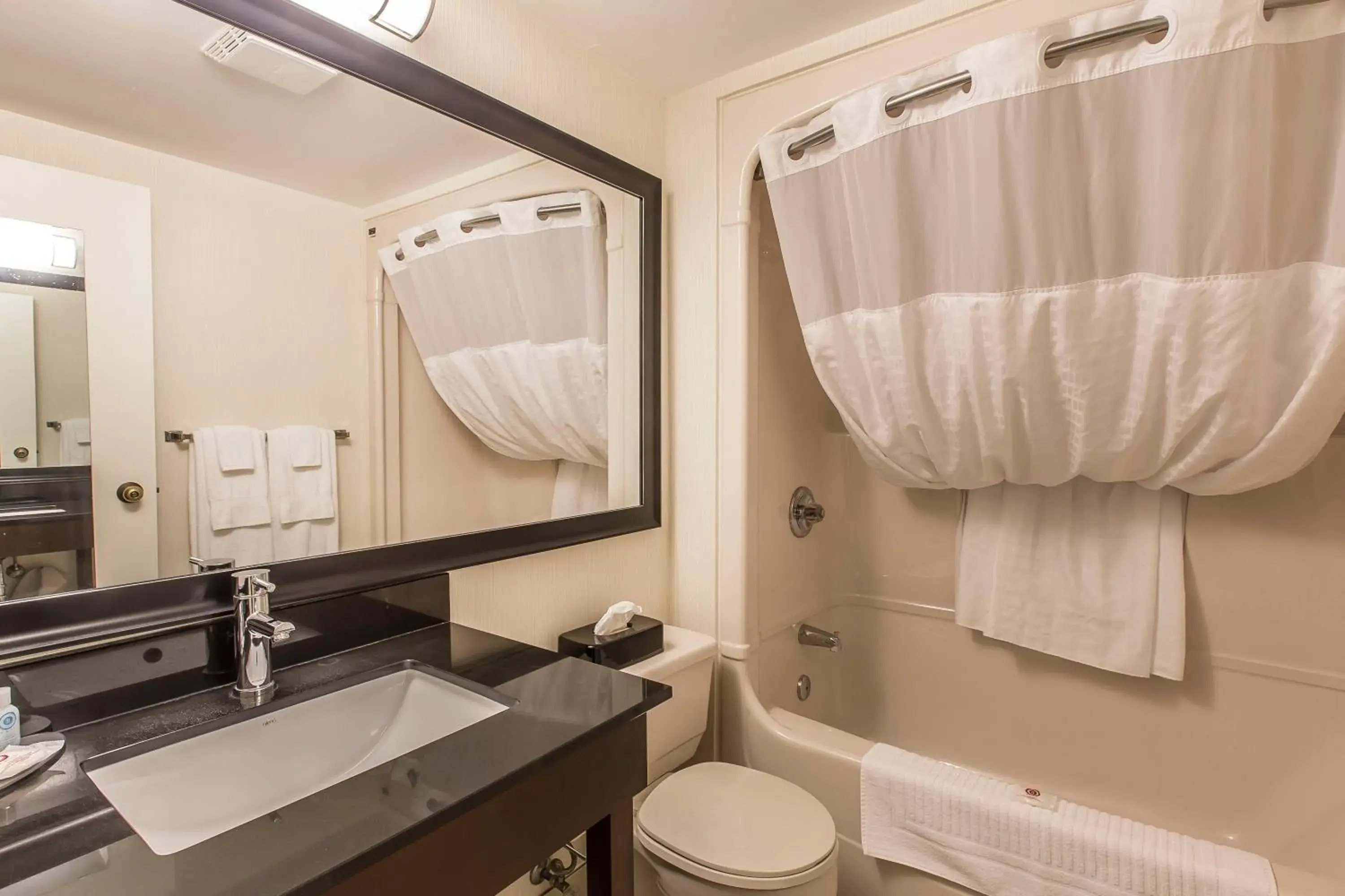 Double Room in Comfort Inn Double Room in Comfort Inn