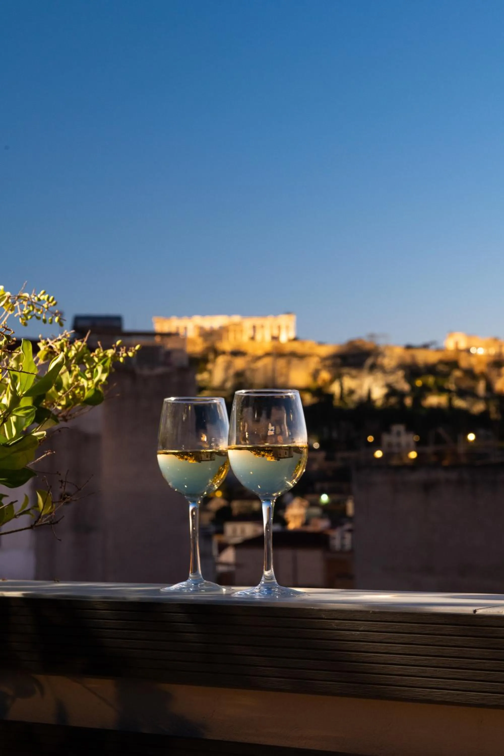 Night in Urban Nest - Suites & Apartments