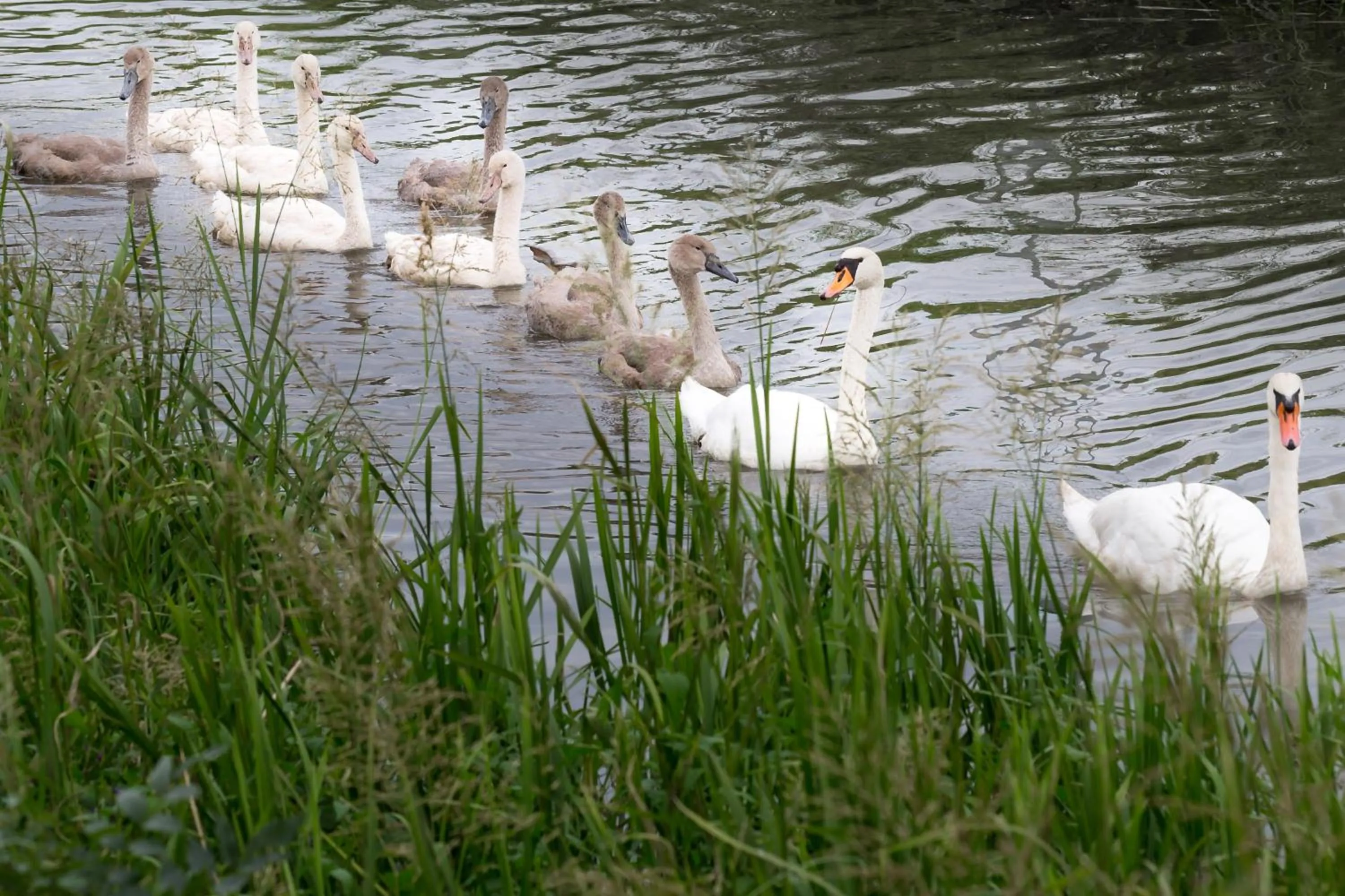 Natural landscape in L'Attrap'Rêves : Le confort Hôtelier, la convivialité en plus