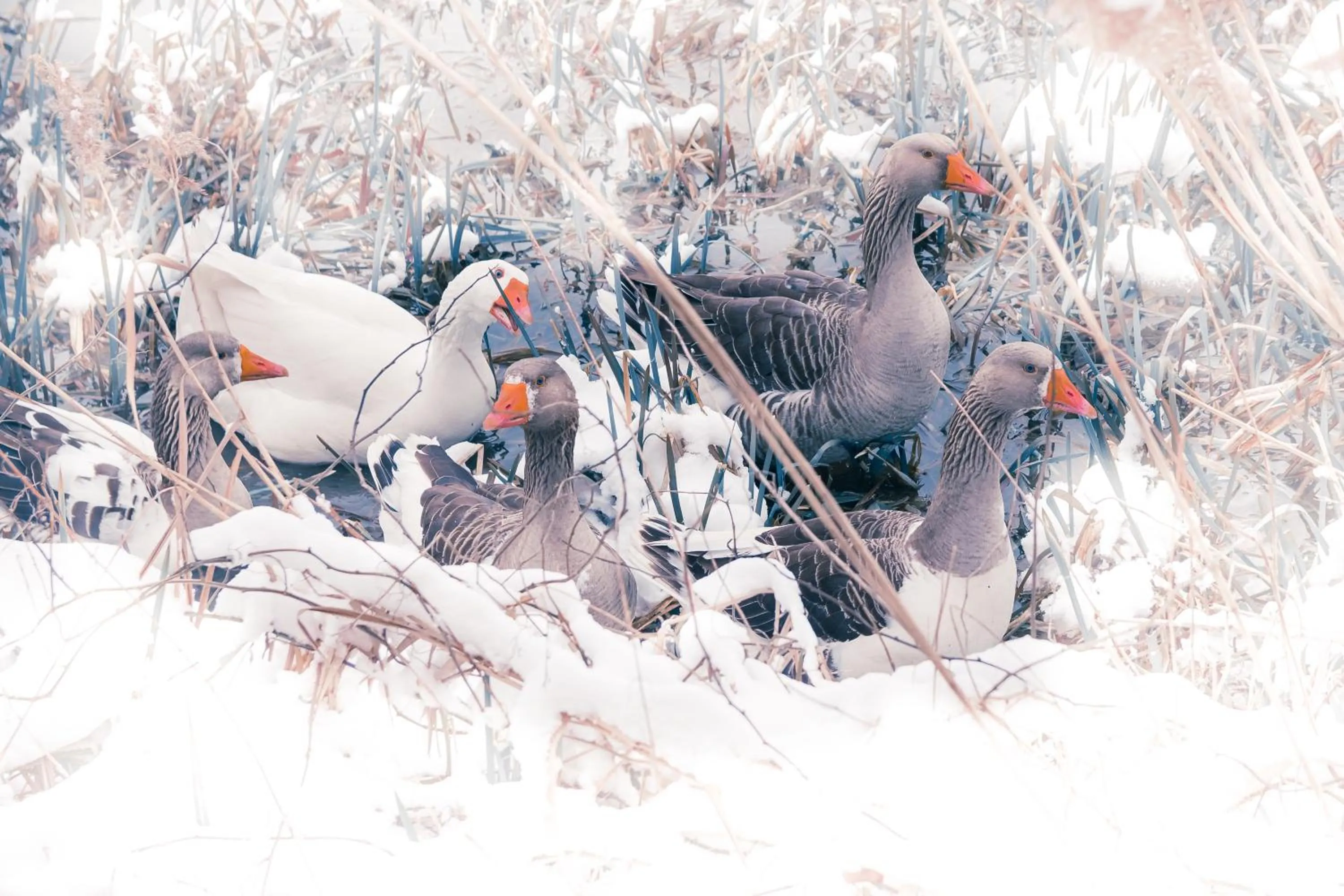 Natural landscape in L'Attrap'Rêves : Le confort Hôtelier, la convivialité en plus