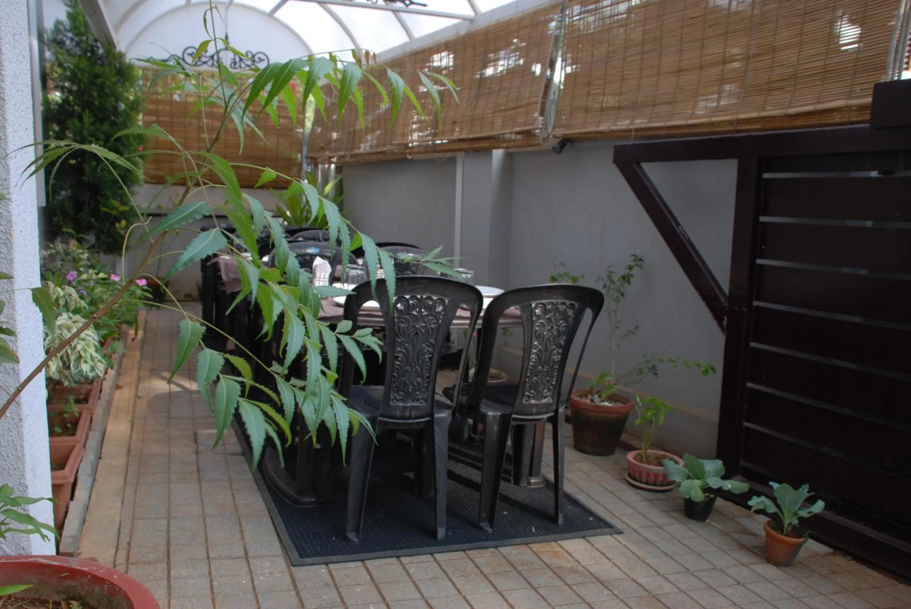 Restaurant/places to eat in Elim Homestay Fort Kochi