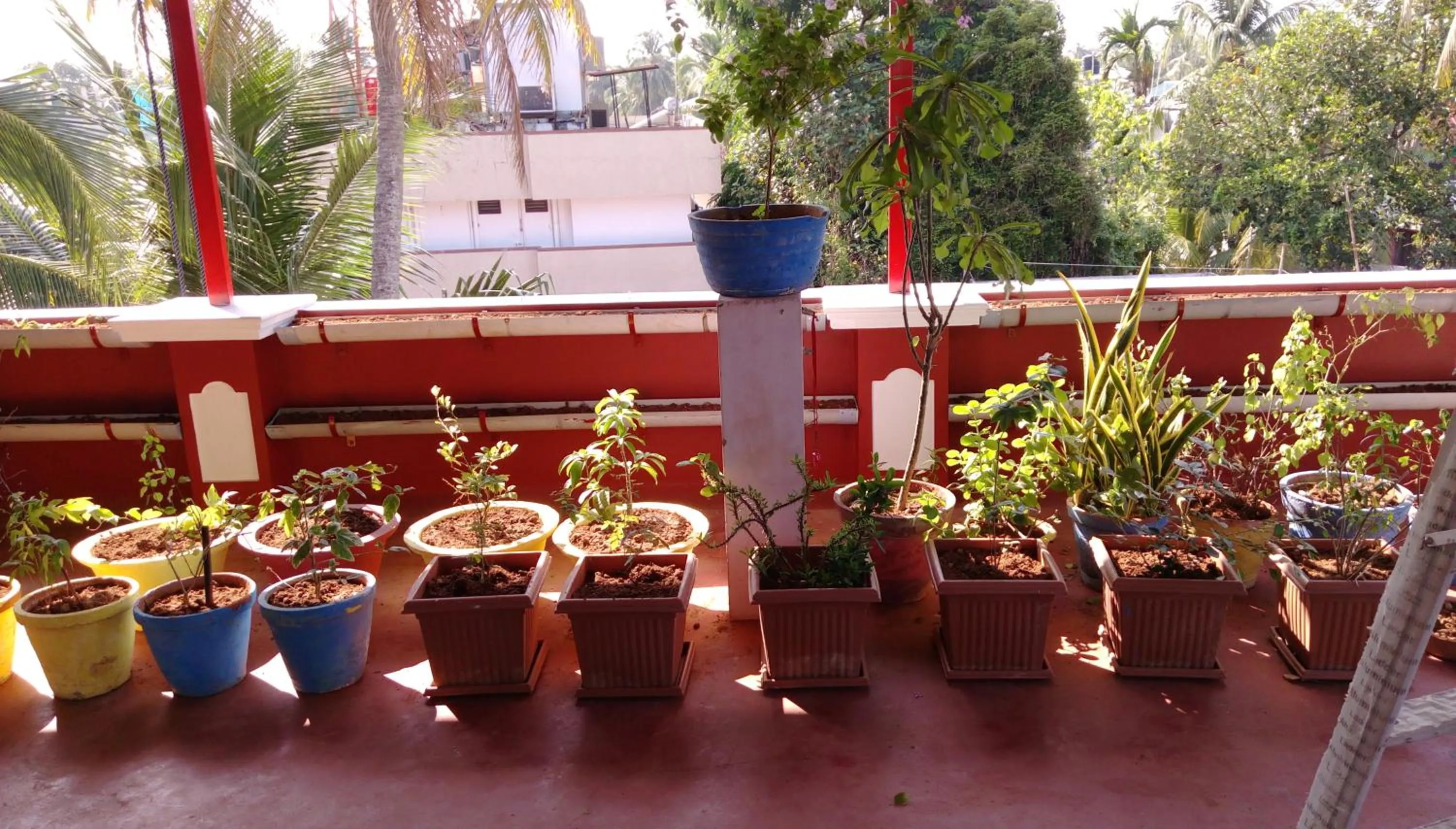 Balcony/Terrace in Elim Homestay Fort Kochi