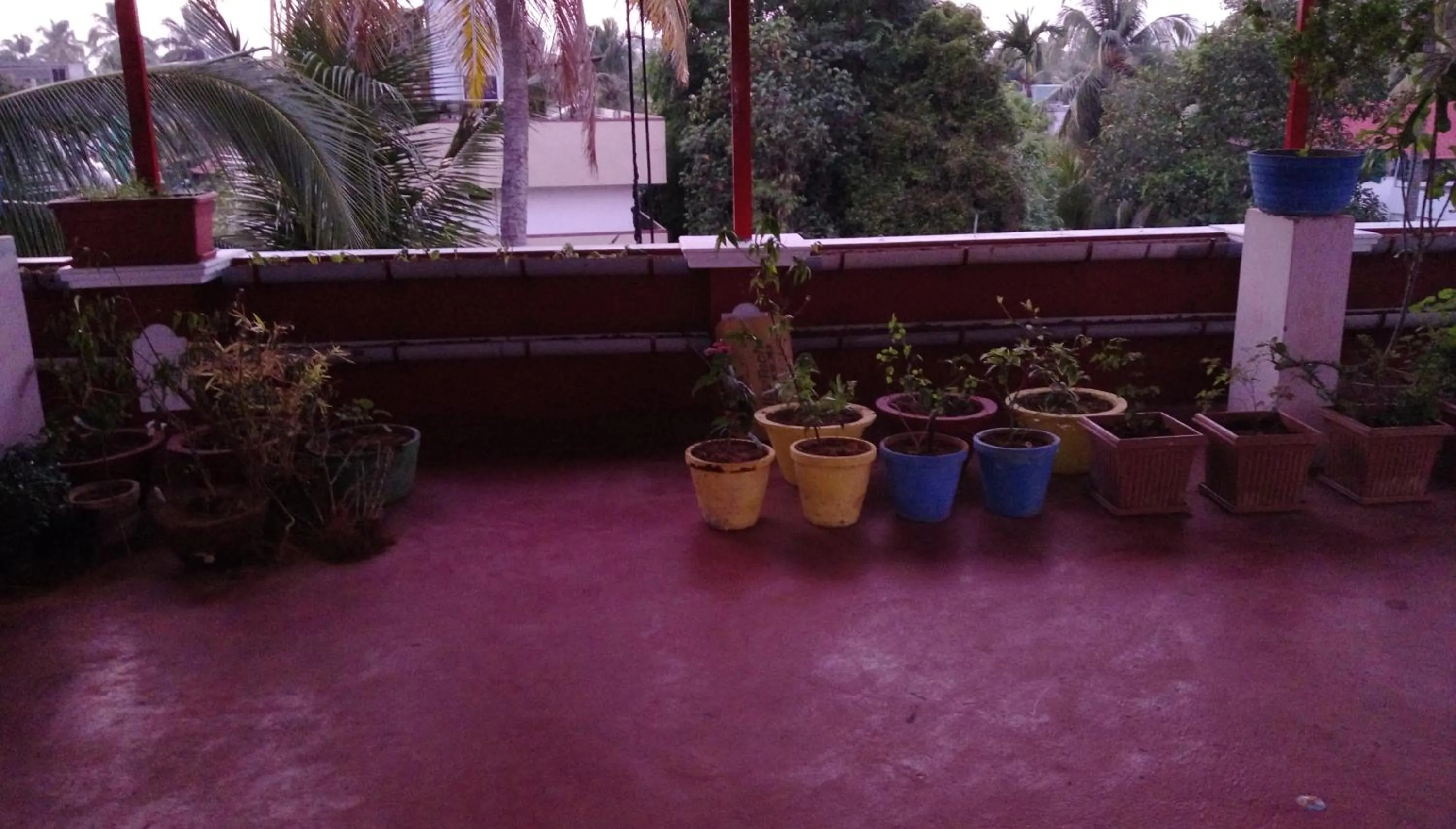 Garden in Elim Homestay Fort Kochi
