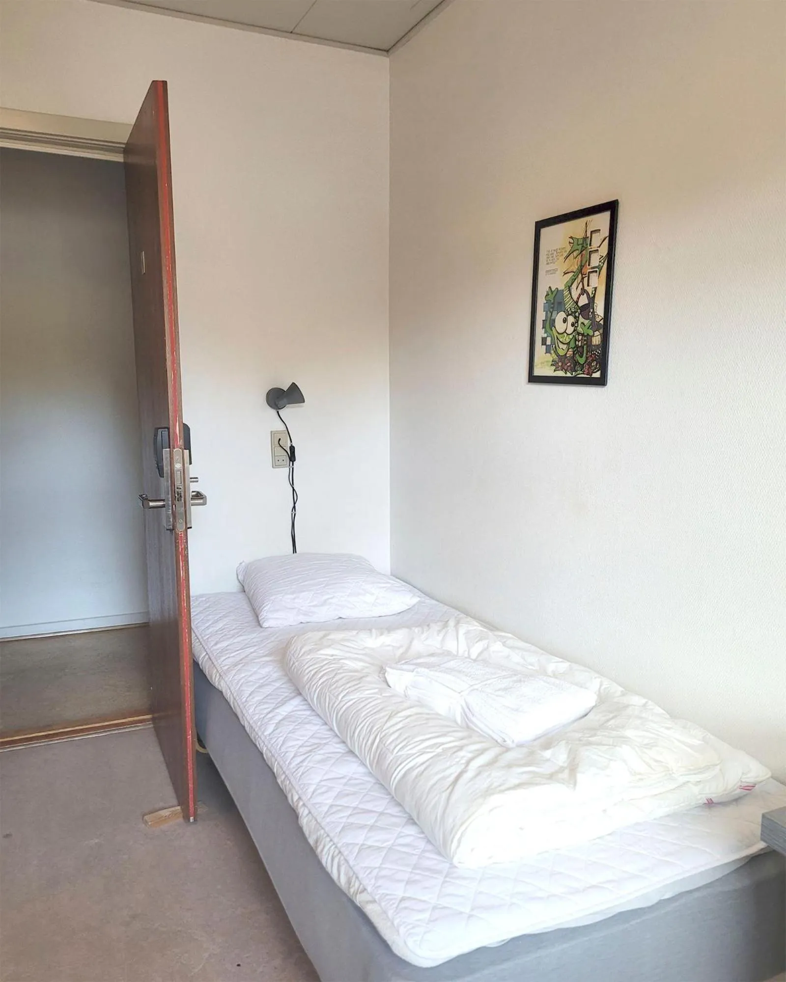 Photo of the whole room, Bed in Aarhus Hostel og Hotel