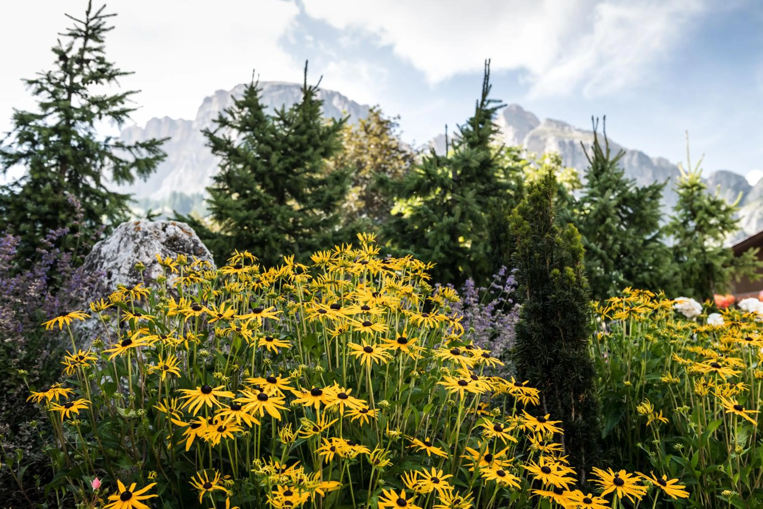 Residence Floralp