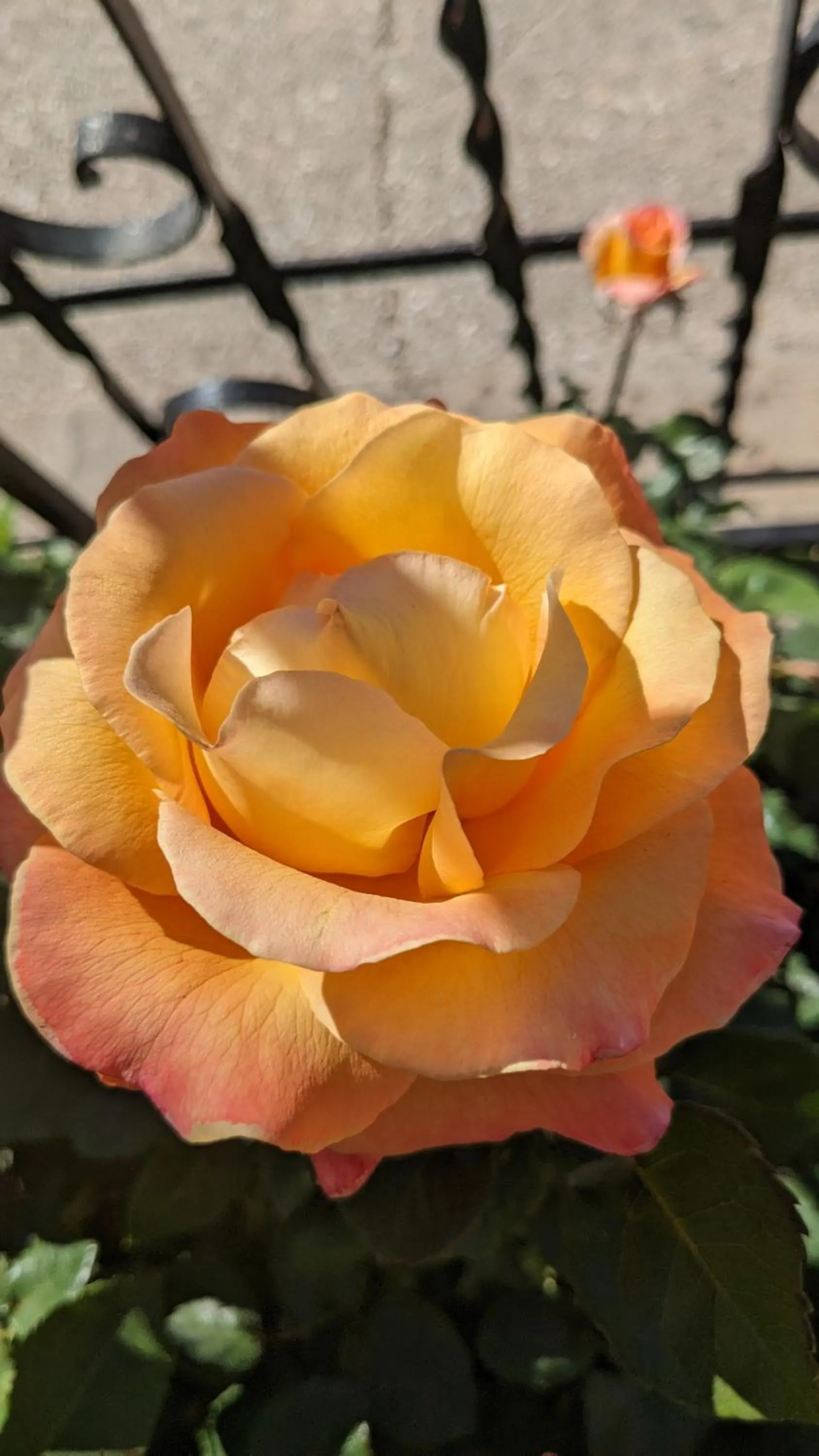 Day in La Cañota King Rooms Adults Only