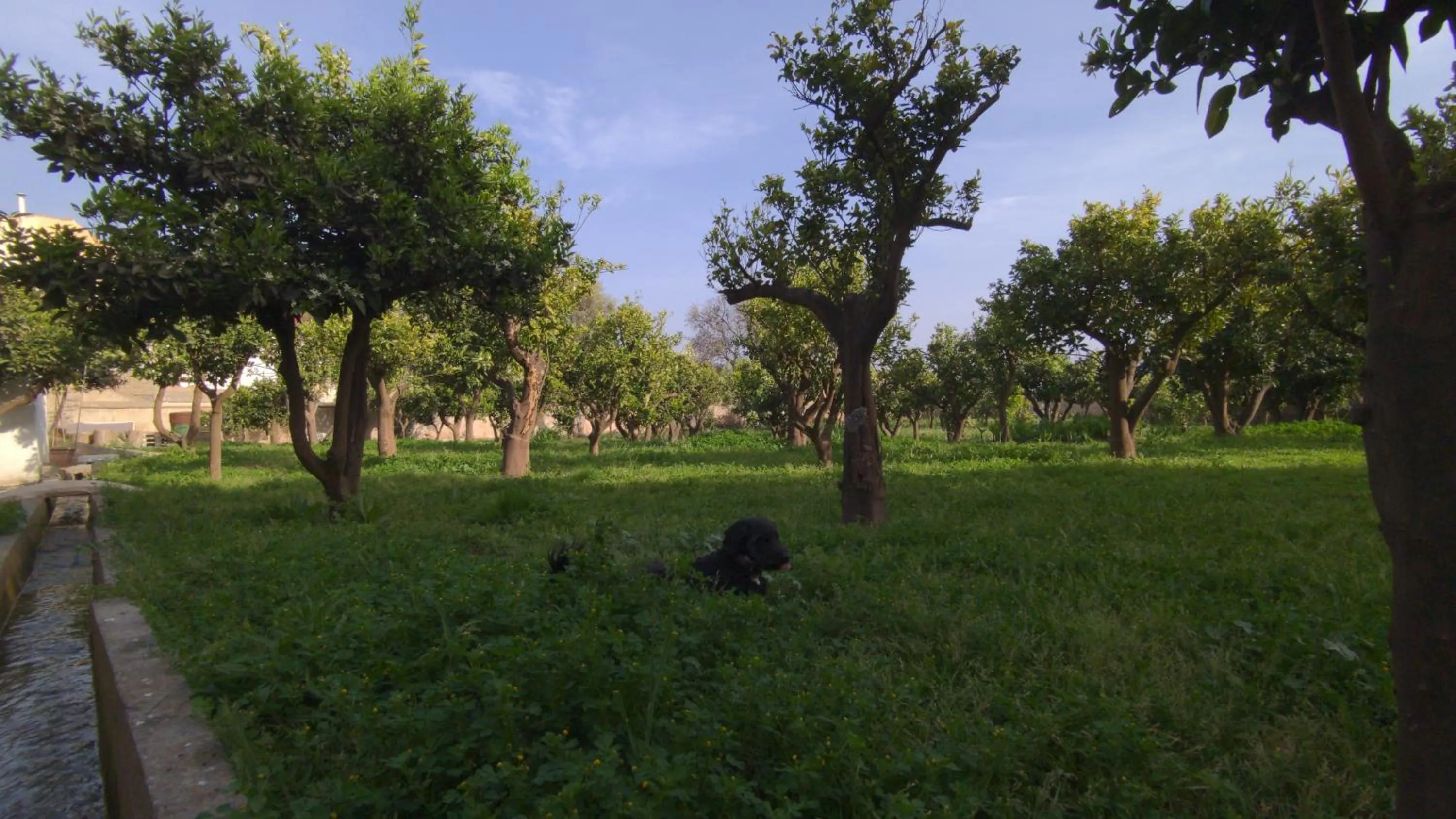 Spring in La Cañota King Rooms Adults Only