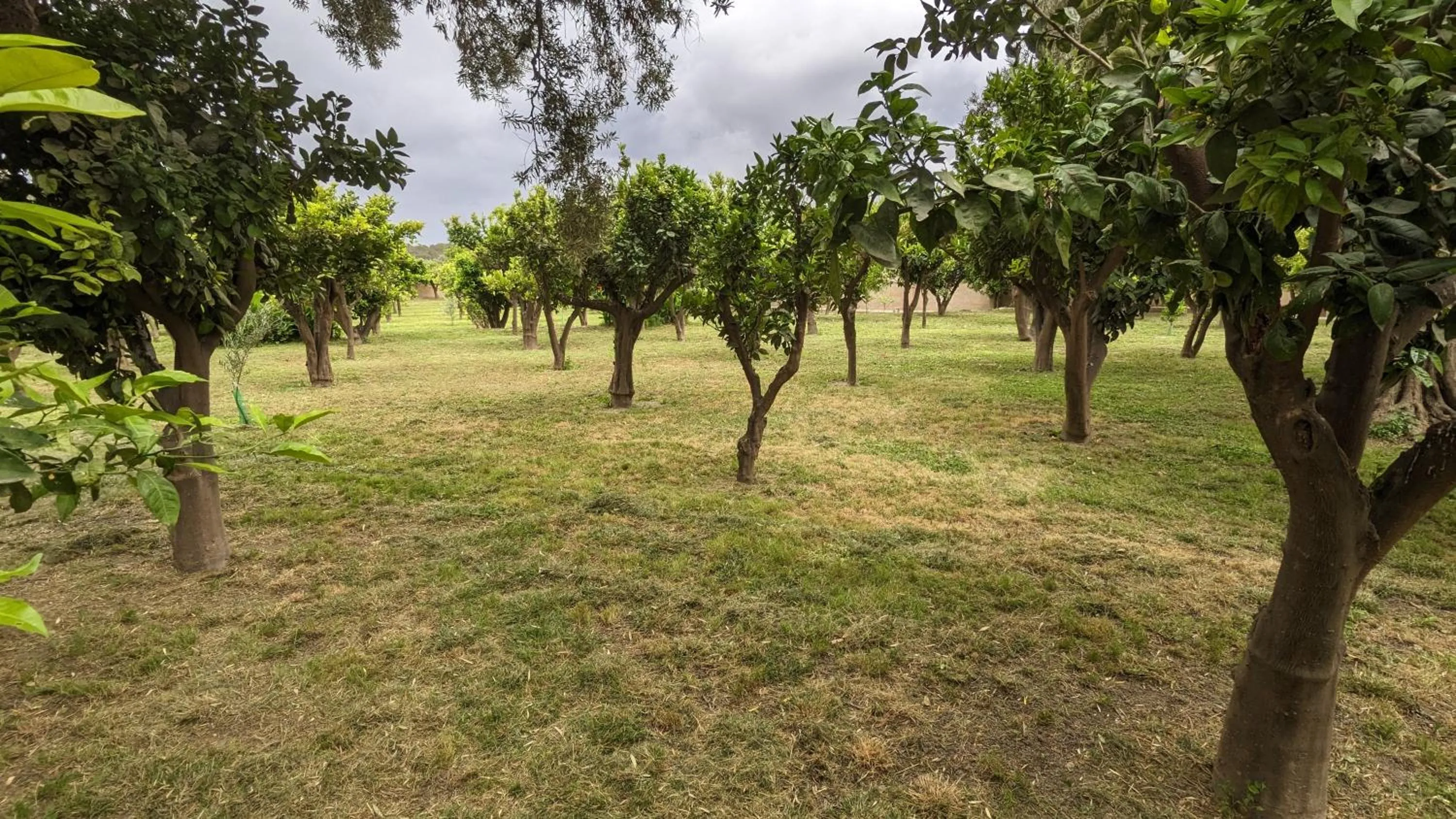 Spring in La Cañota King Rooms Adults Only