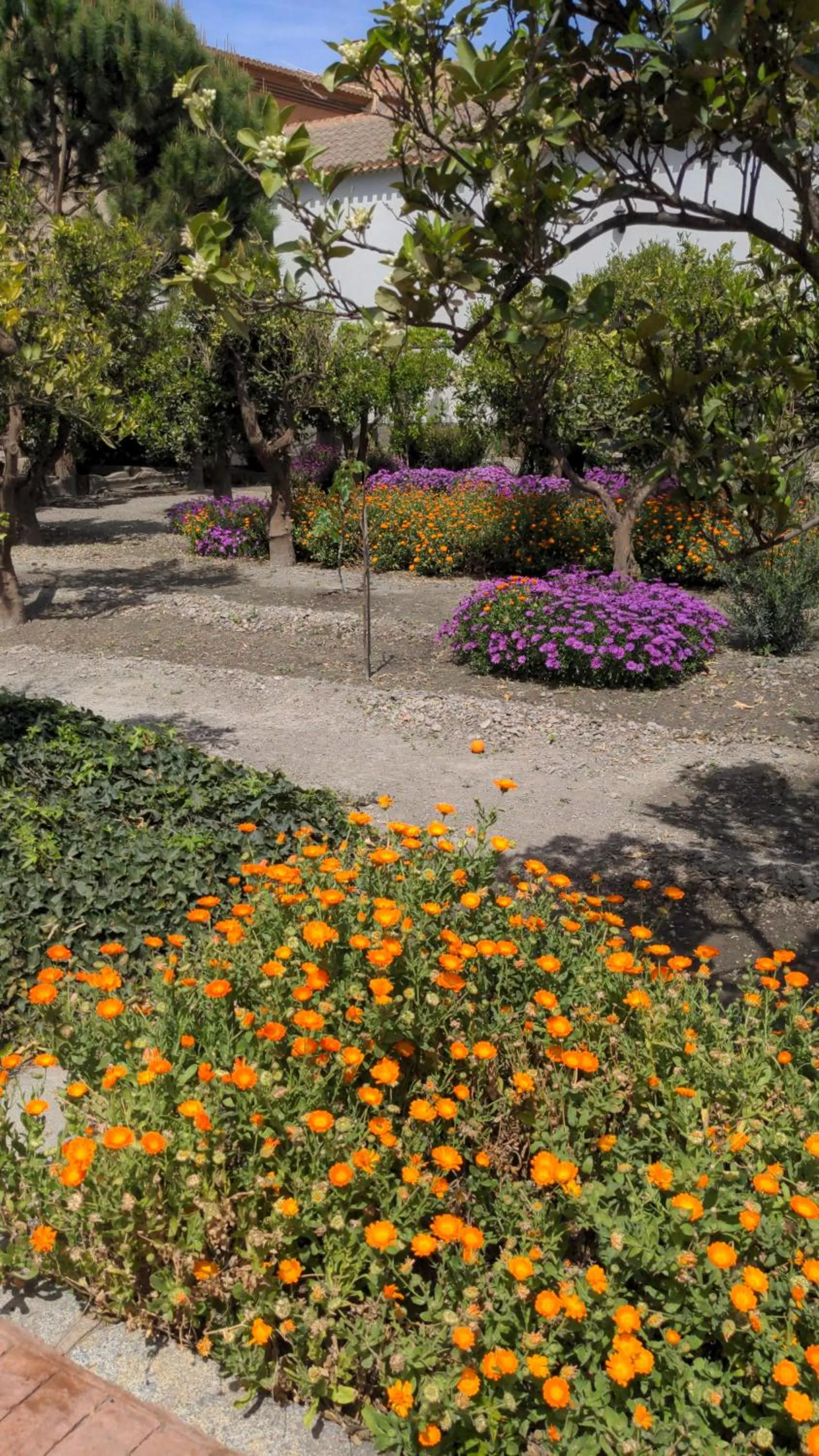 Spring in La Cañota King Rooms Adults Only