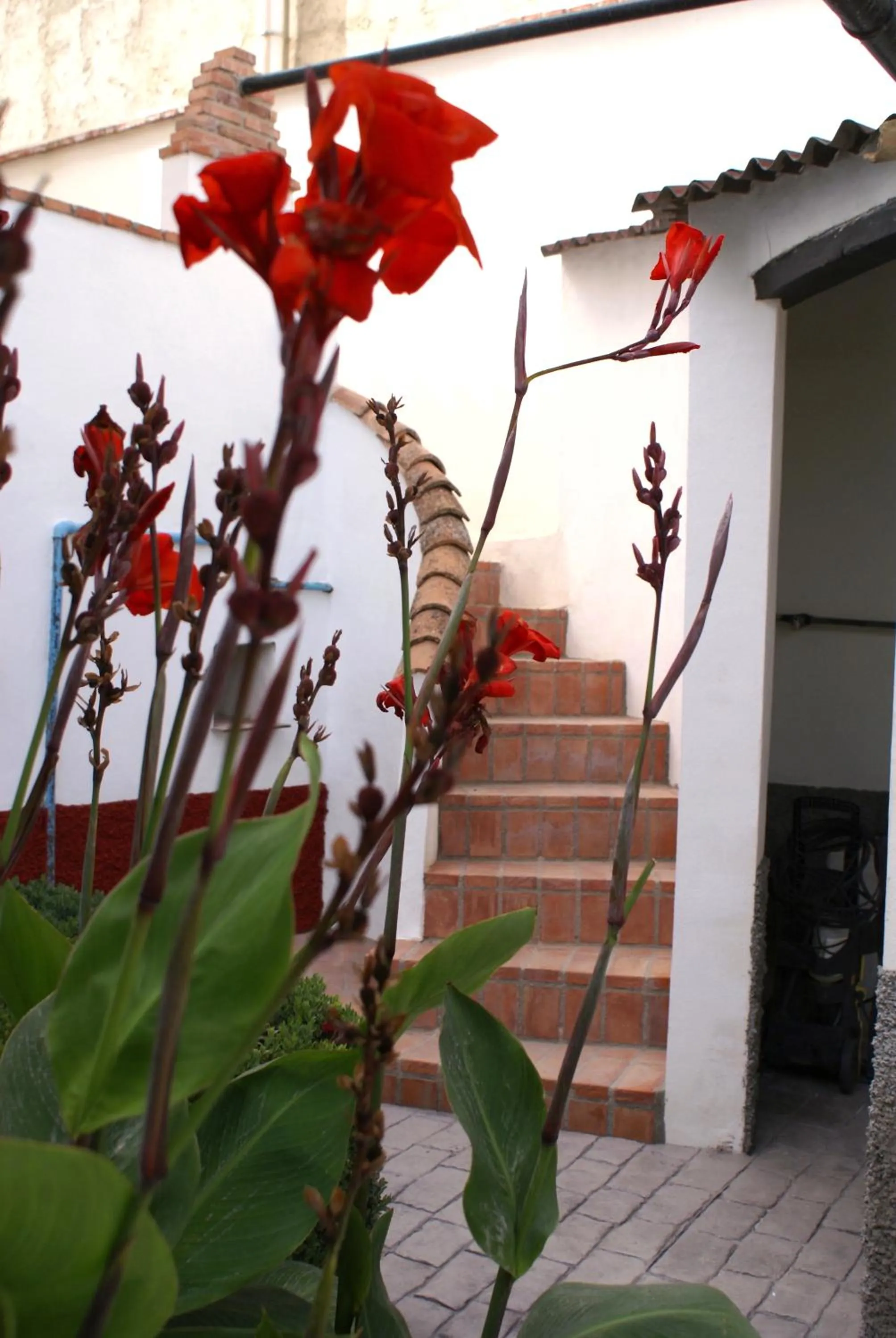 Patio in La Cañota King Rooms Adults Only