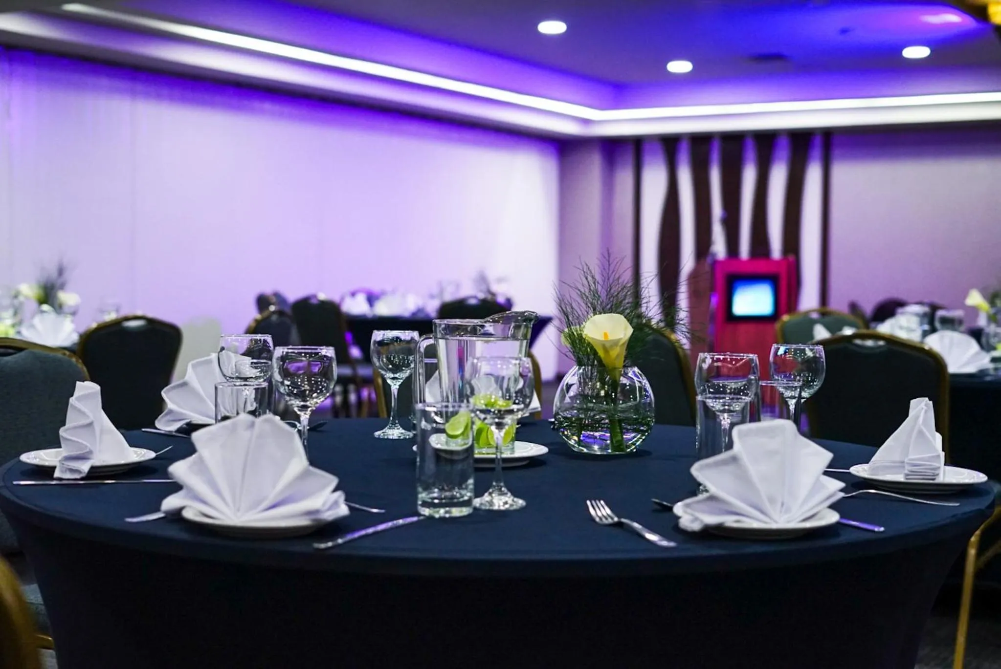 Banquet/Function facilities in Stannum Boutique Hotel & Spa