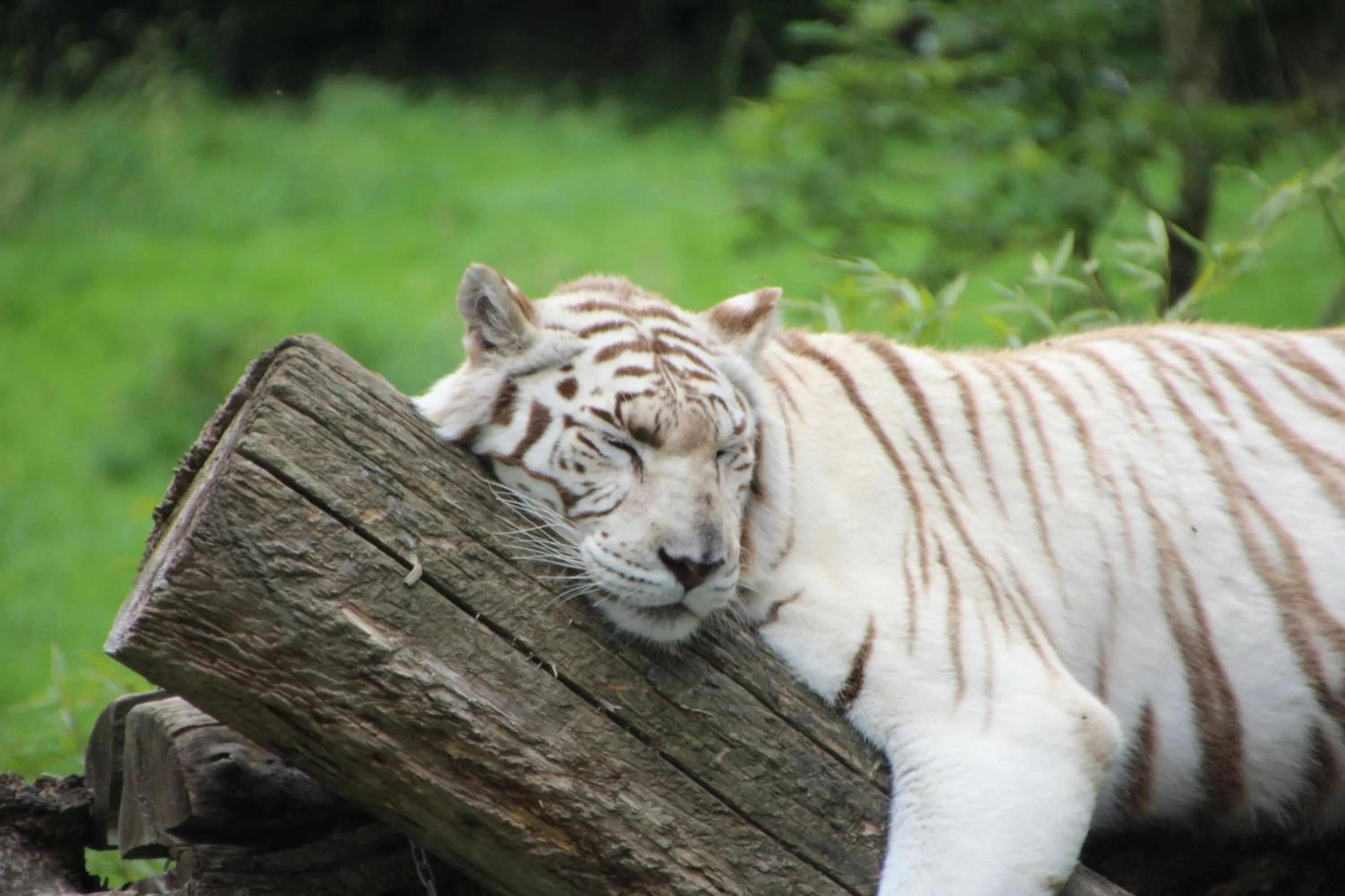 Nearby landmark in ibis budget Lisieux